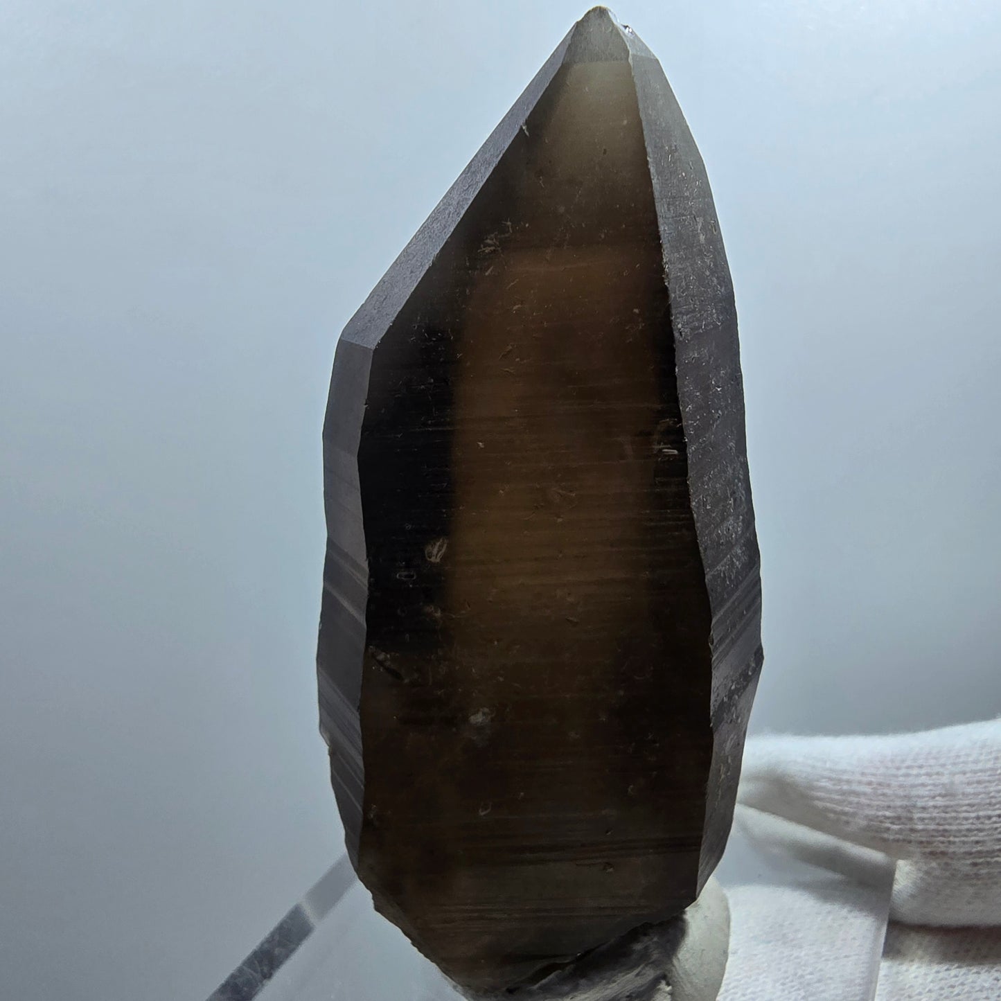 Sceptre de poche en quartz fumé fantôme lémurien Valentine Goboboseb Namibie 72 x 35 x 29 mm
