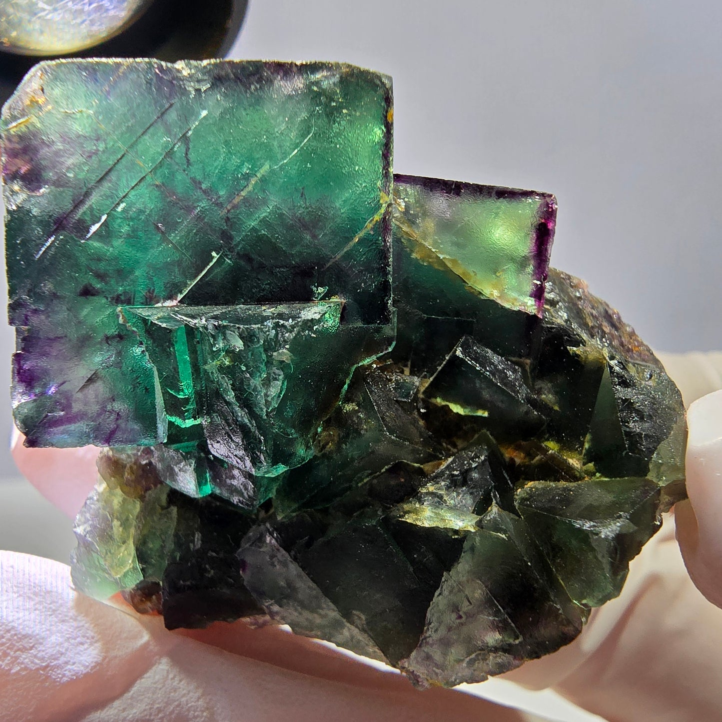 Phantom Fluorit Würfel Stufe, parkettiert, zonal Okorusu, Namibia 45*40*30mm