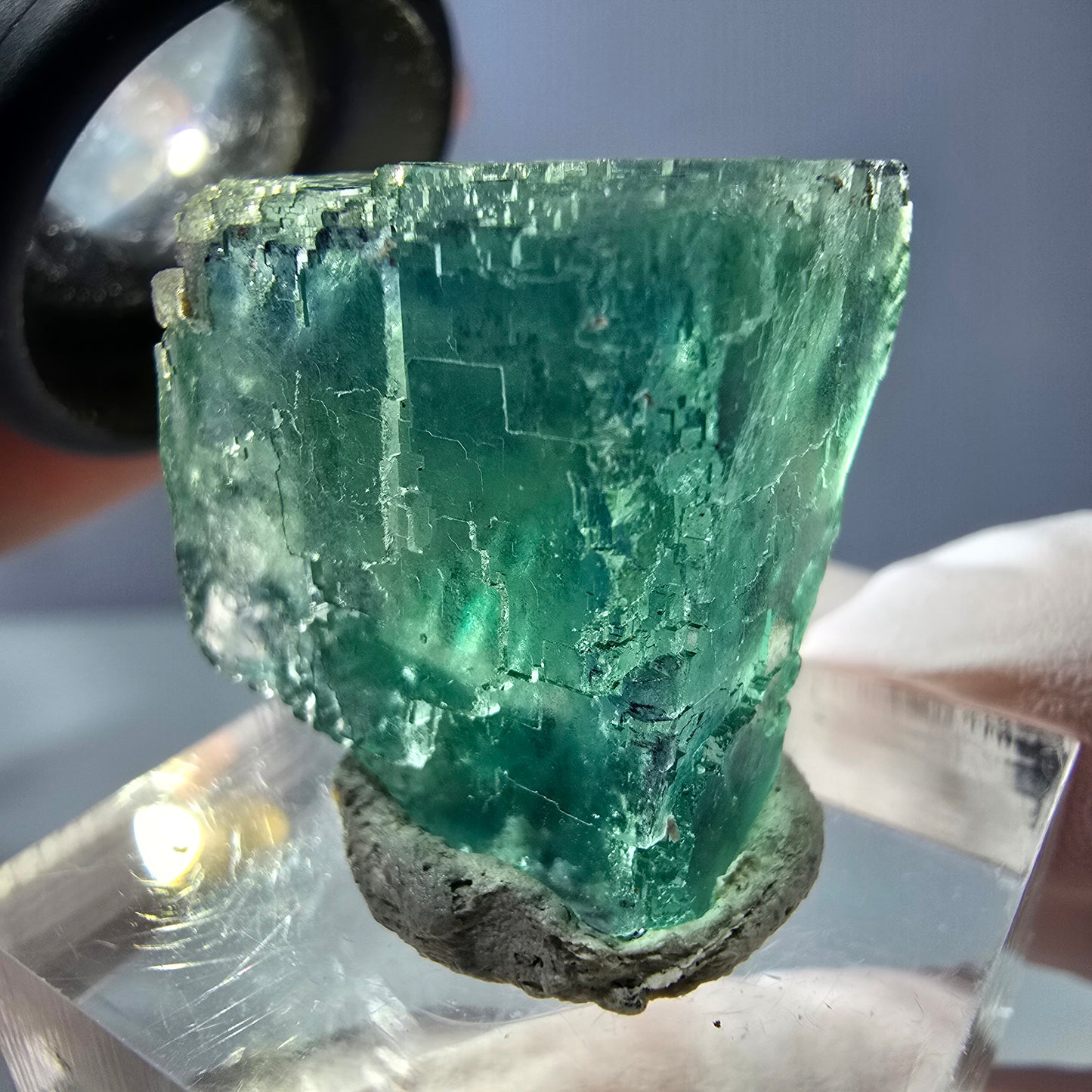 Cube de fluorite fantôme transparente parquetée, vert Okorusu, Namibie 22 x 20 x 18 mm