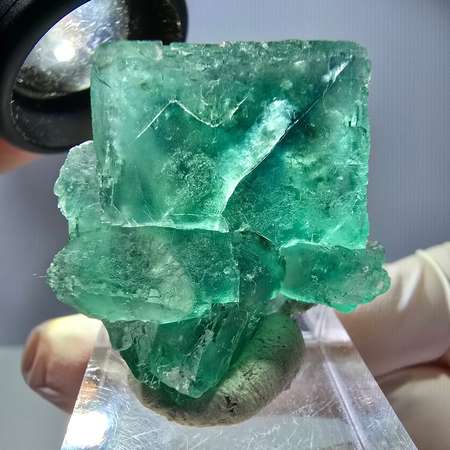 Rare spécimen de cube de fluorite fantôme, vert Okorusu, Namibie 34 x 29 x 21 mm