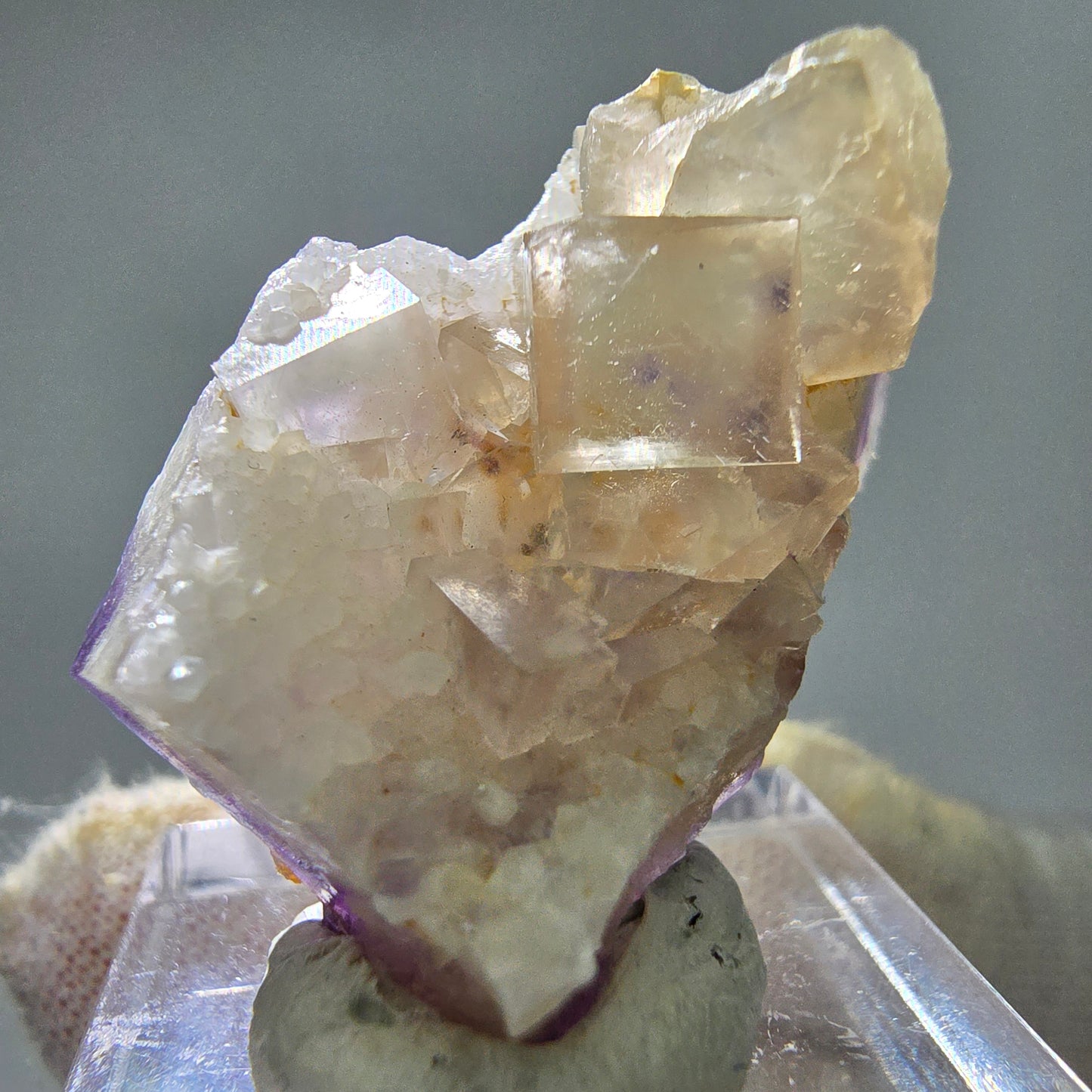 Seltene UV Phantom Fluorit Würfel, Quarz Stufe Brandberg, Namibia 31*22*18mm