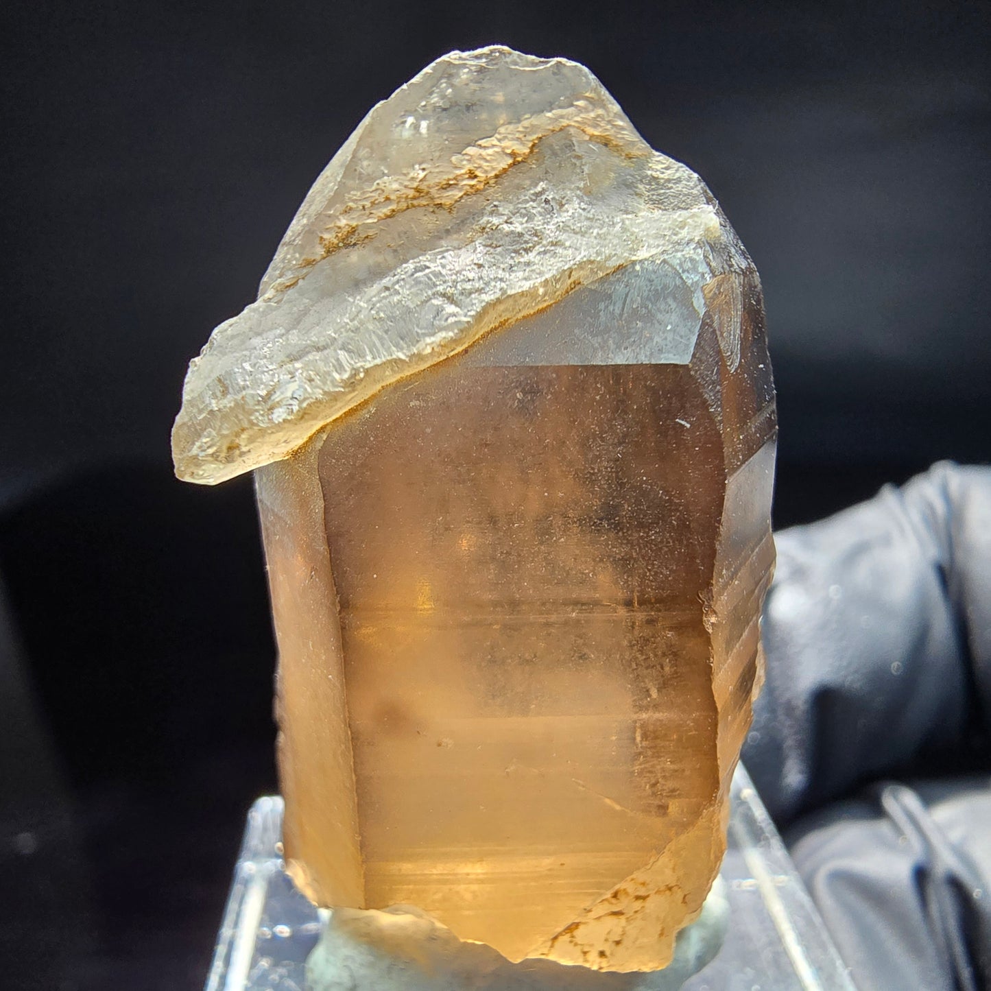 Seltene klare Rauchquarz mit Hyalit Spitze Erongo, Namibia 39*21*17mm Sammlung