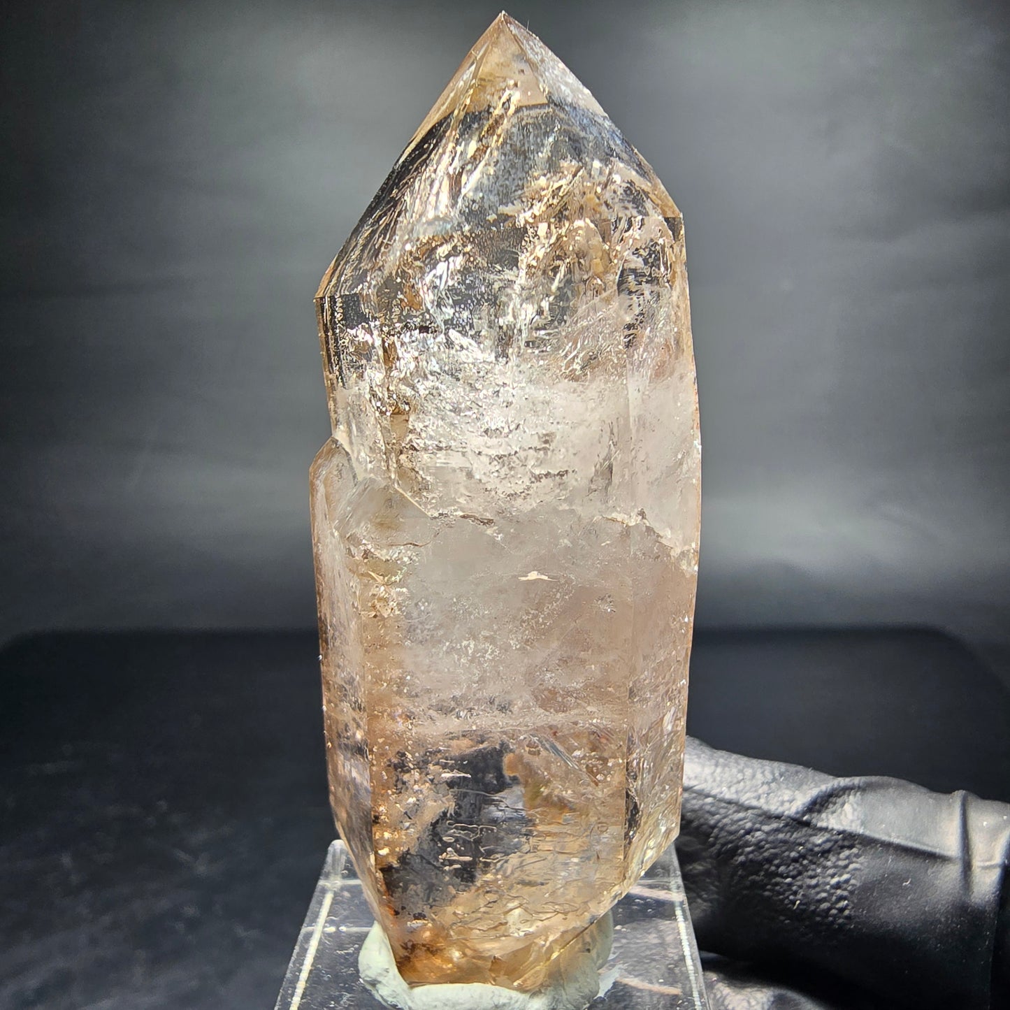 Points à double terminaison en quartz fumé fantôme clair Goboboseb namibie 62*25*19mm