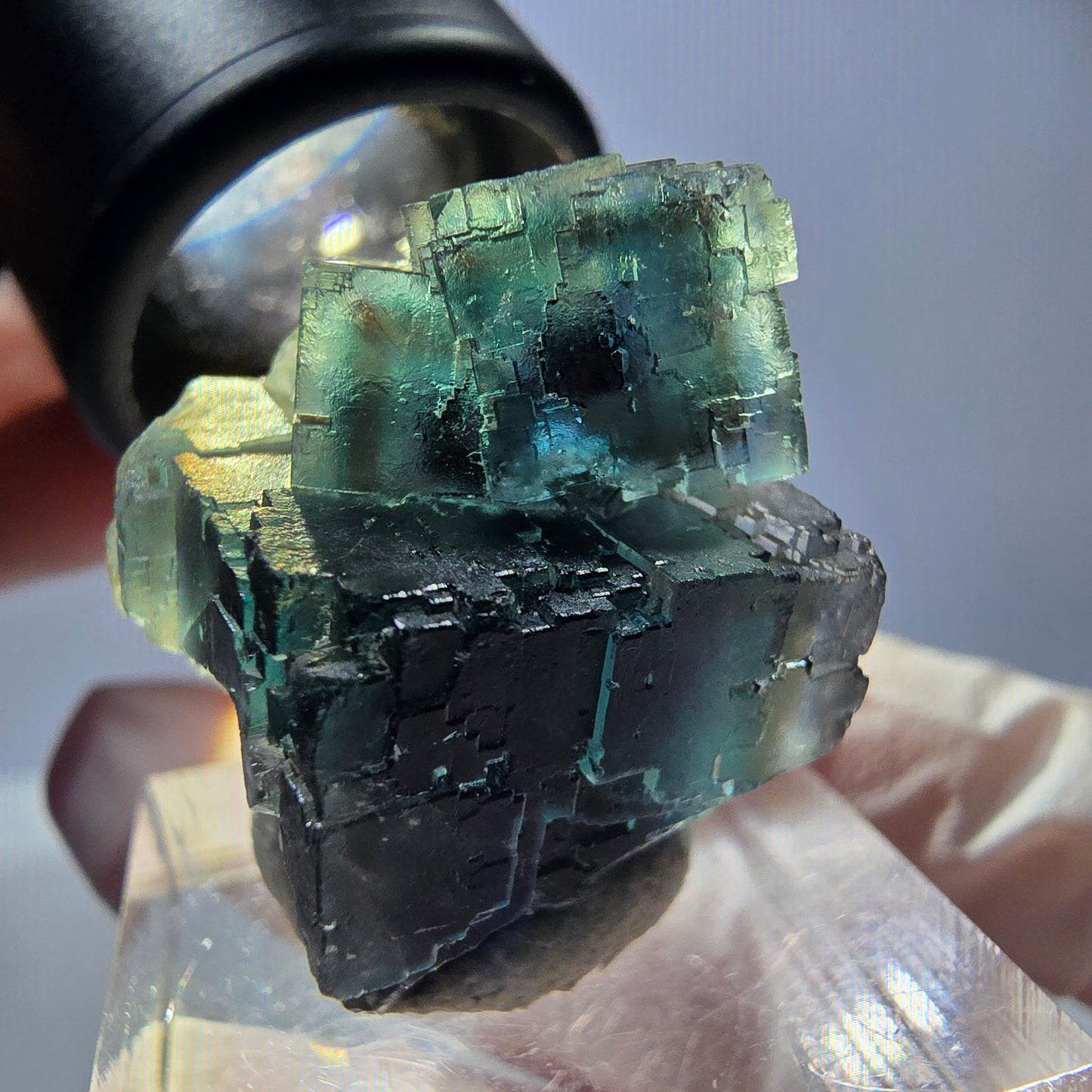 Spécimen de cube de fluorite fantôme, parqueté vert violet Okorusu, Namibie 25*18*18 mm