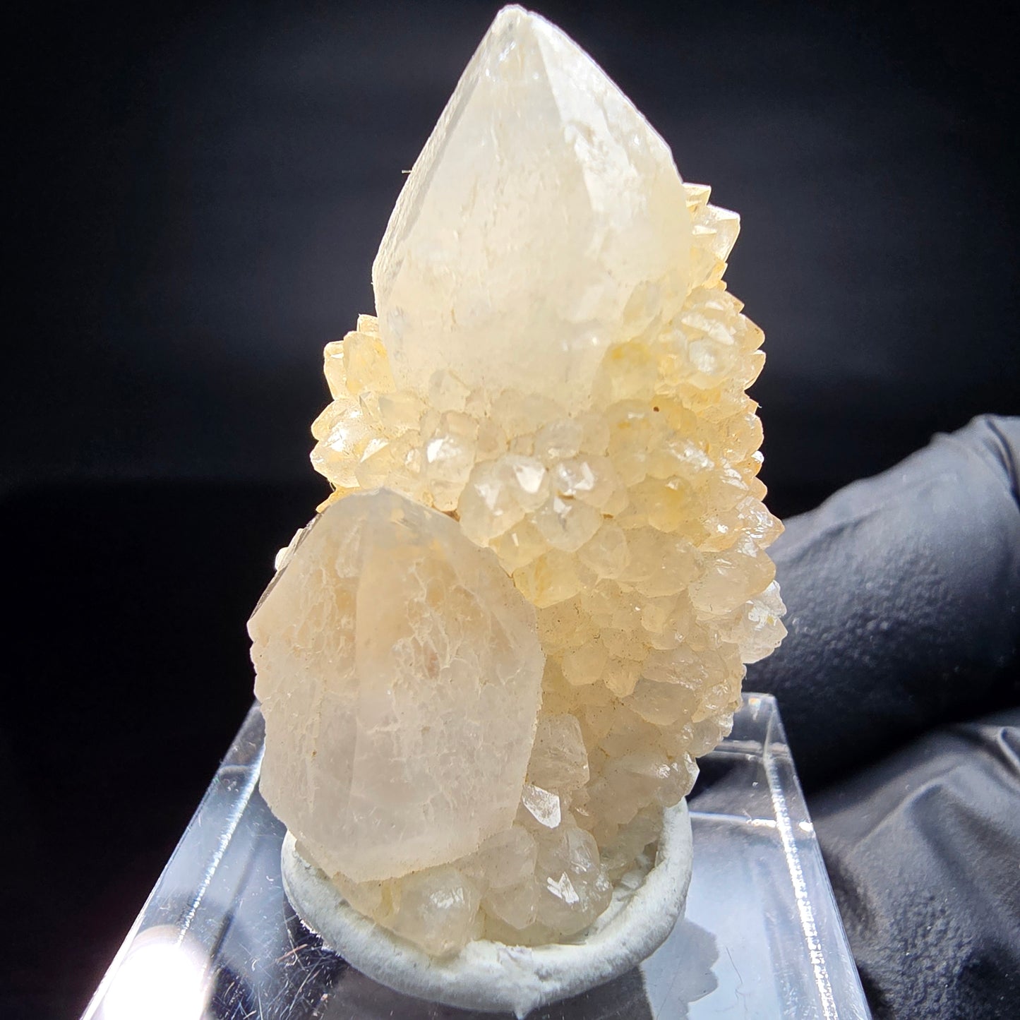 Quartz cactus, quartz spiritueux niveau XX Boekenhouthoek, collection Afrique du Sud 35*23*17