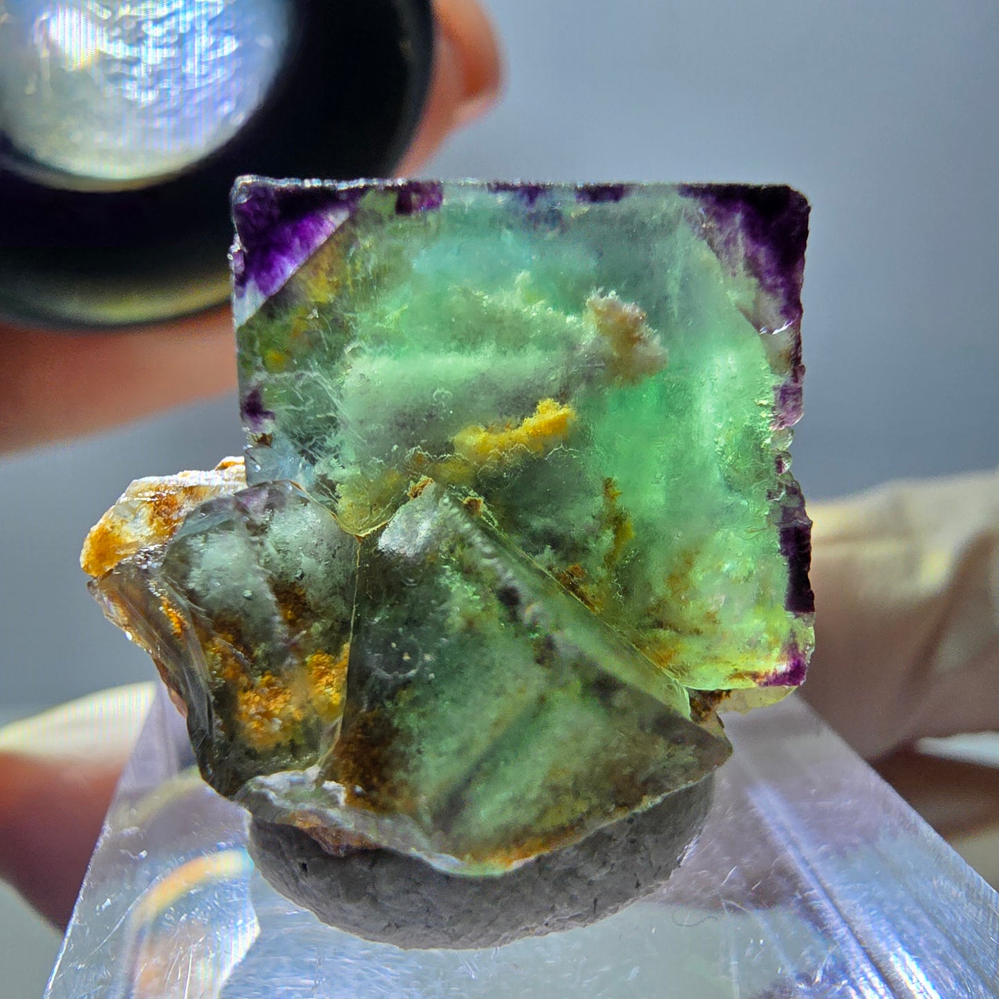 Phantom Fluorit Würfel Stufe, parkettiert, zonal Okorusu, Namibia 25*21*18mm