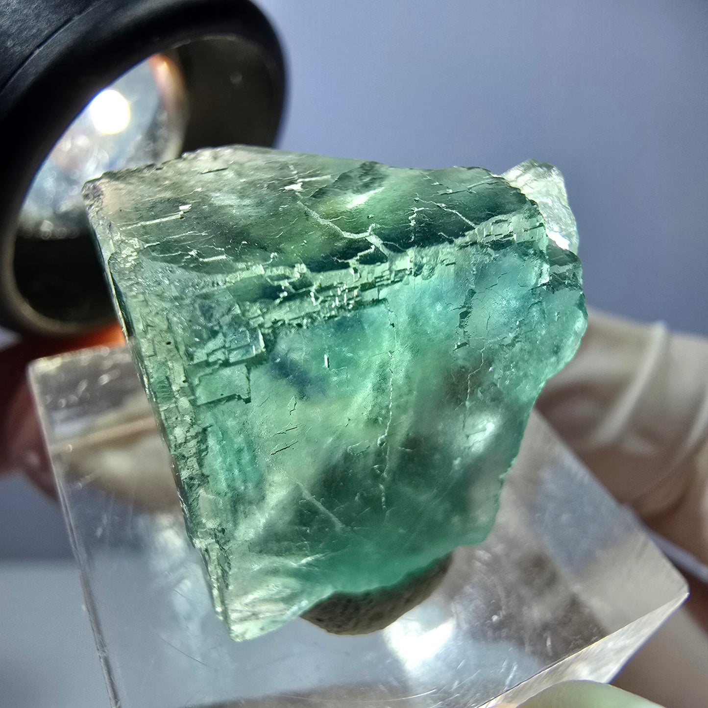 Cube de fluorite fantôme transparente parquetée, vert Okorusu, Namibie 20 x 18 x 15 mm
