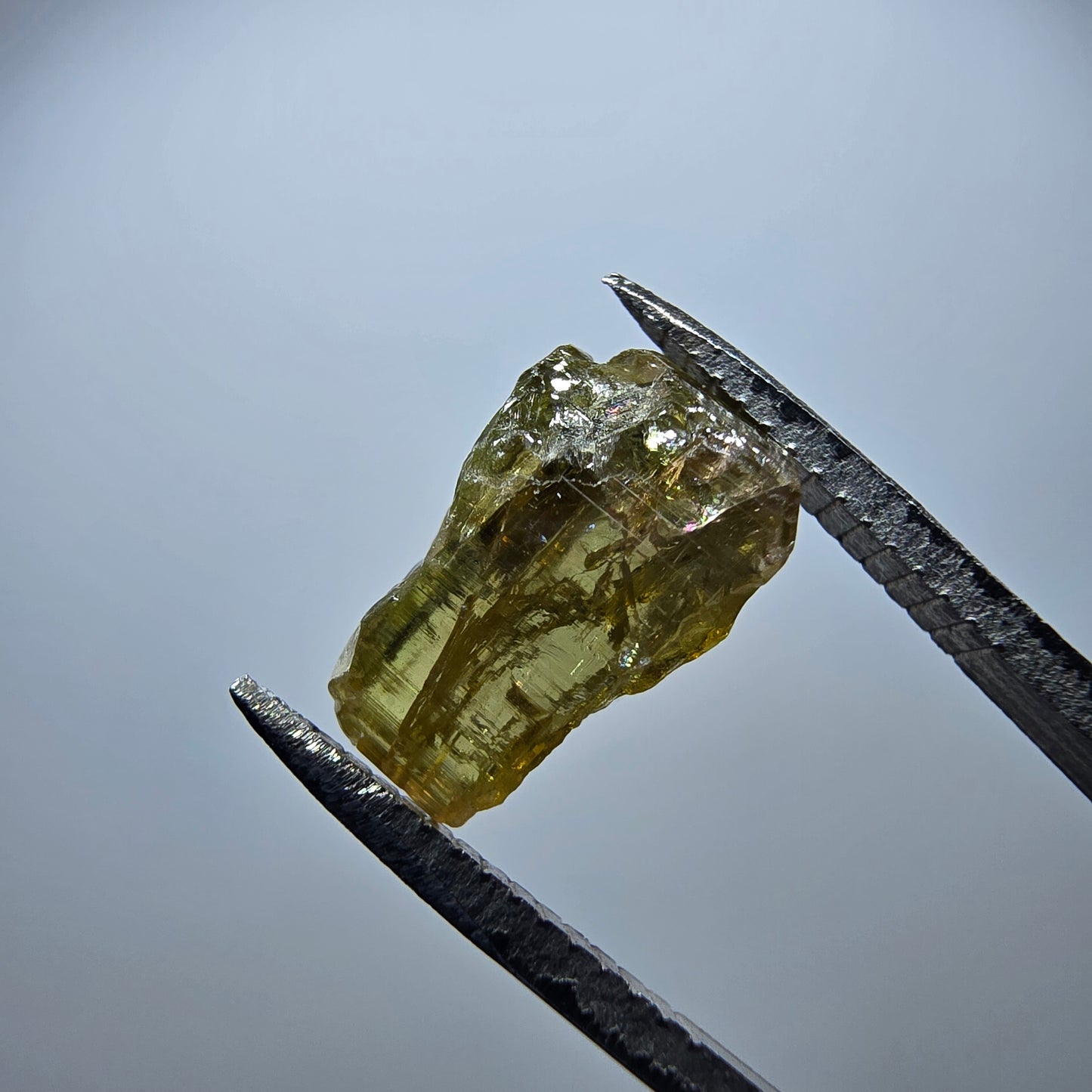 Seltener Verdelith Turmalin Kristall, grün Minas Gerais, Brasilien 11*7*7mm
