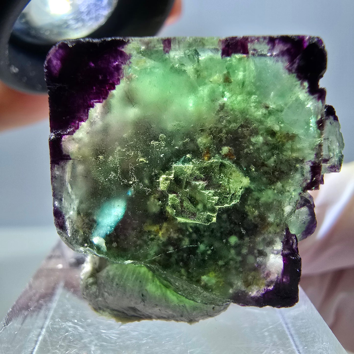 Phantom Fluorit Würfel Stufe, parkettiert, zonal Okorusu, Namibia 27*24*14mm