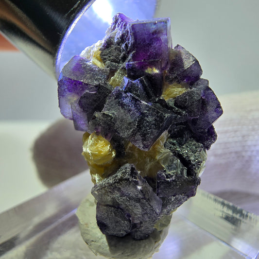 Bunte Phantom Fluorit Würfel, Muskovit Stufe Erongo, Namibia 26*19*15mm