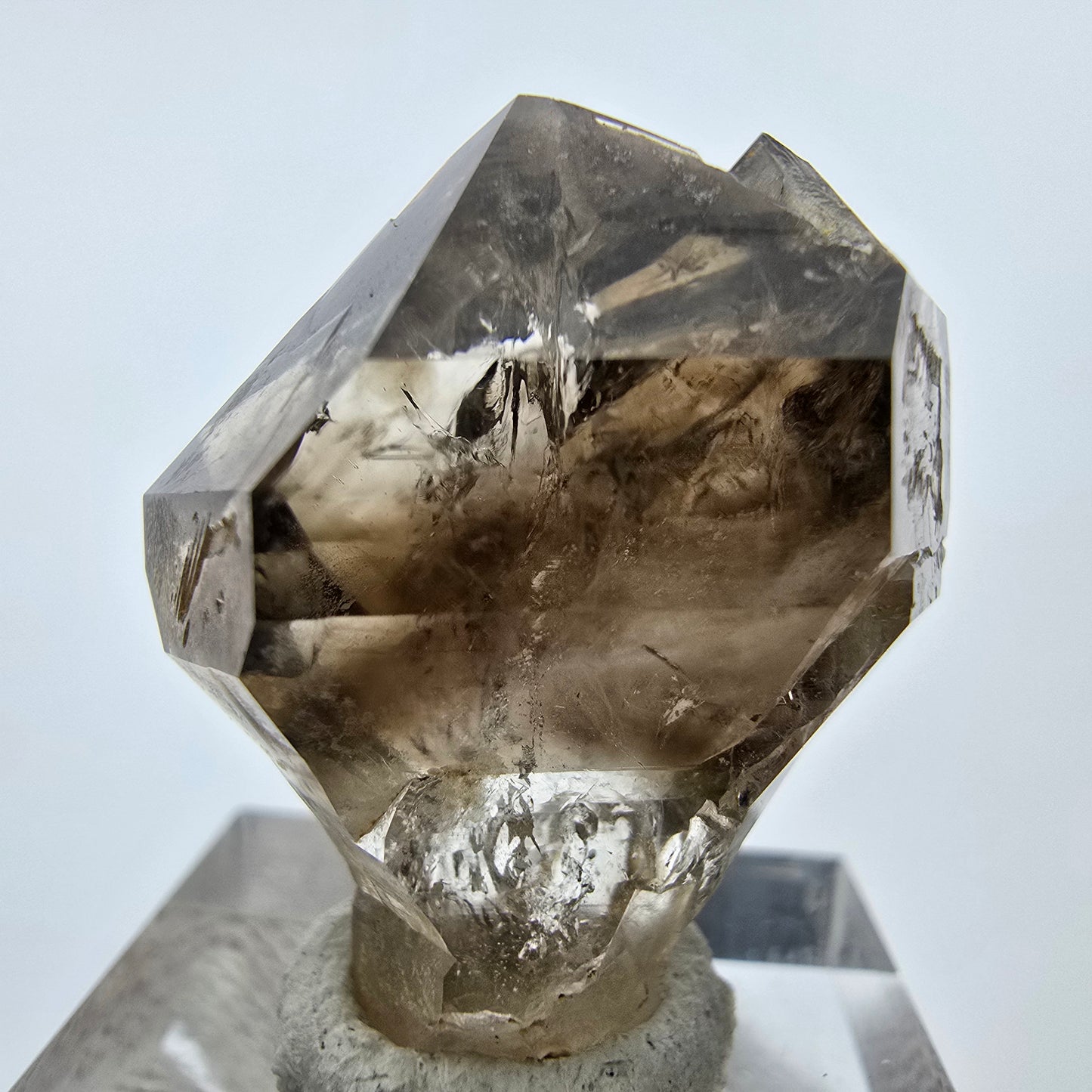 Enhydro Phantom Rauchquarz Zepter, 1x Blase Goboboseb, Namibia 30*26*17mm