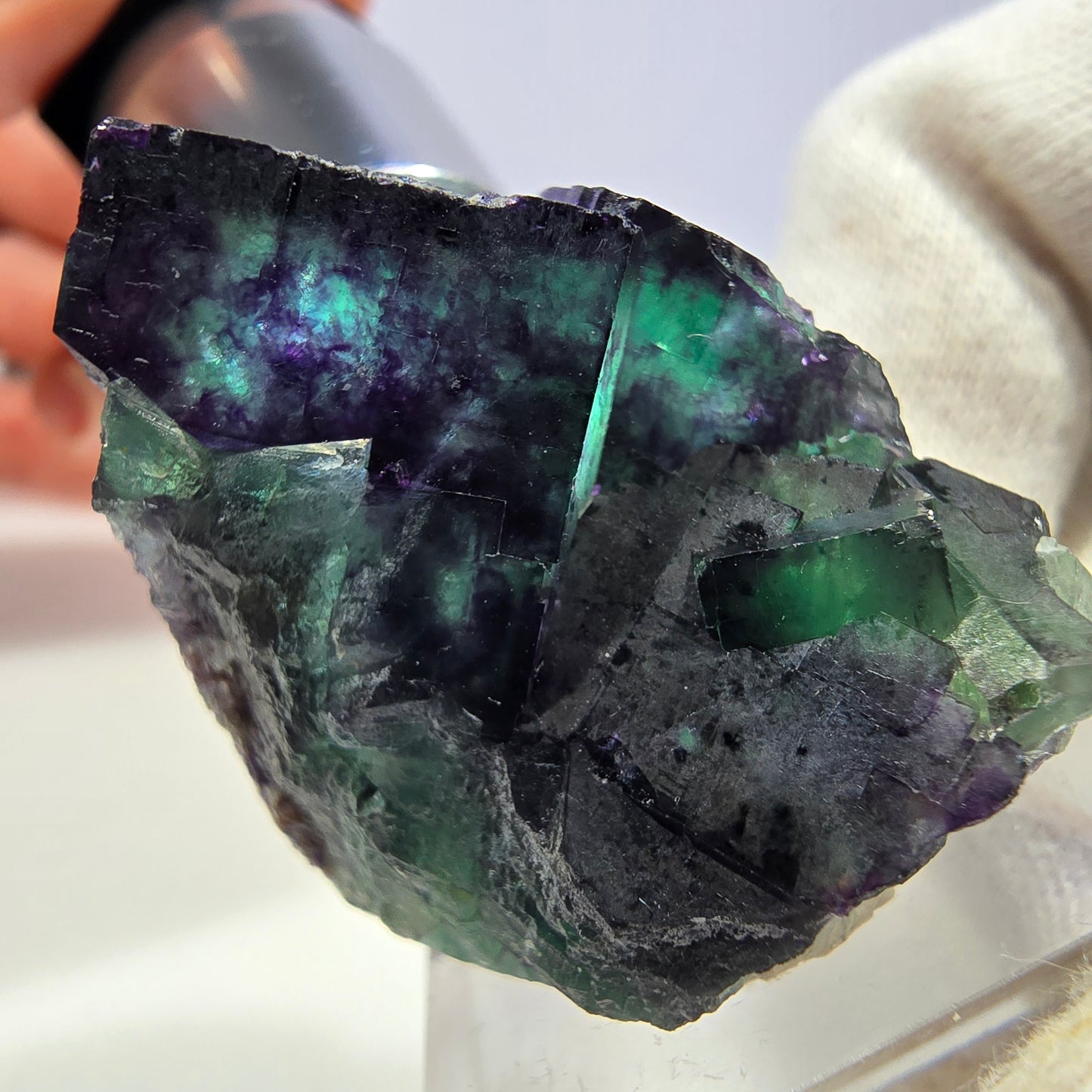Klare Phantom Fluorit Würfel Stufe zonal grün lila Okorusu, Namibia 36*31*23mm