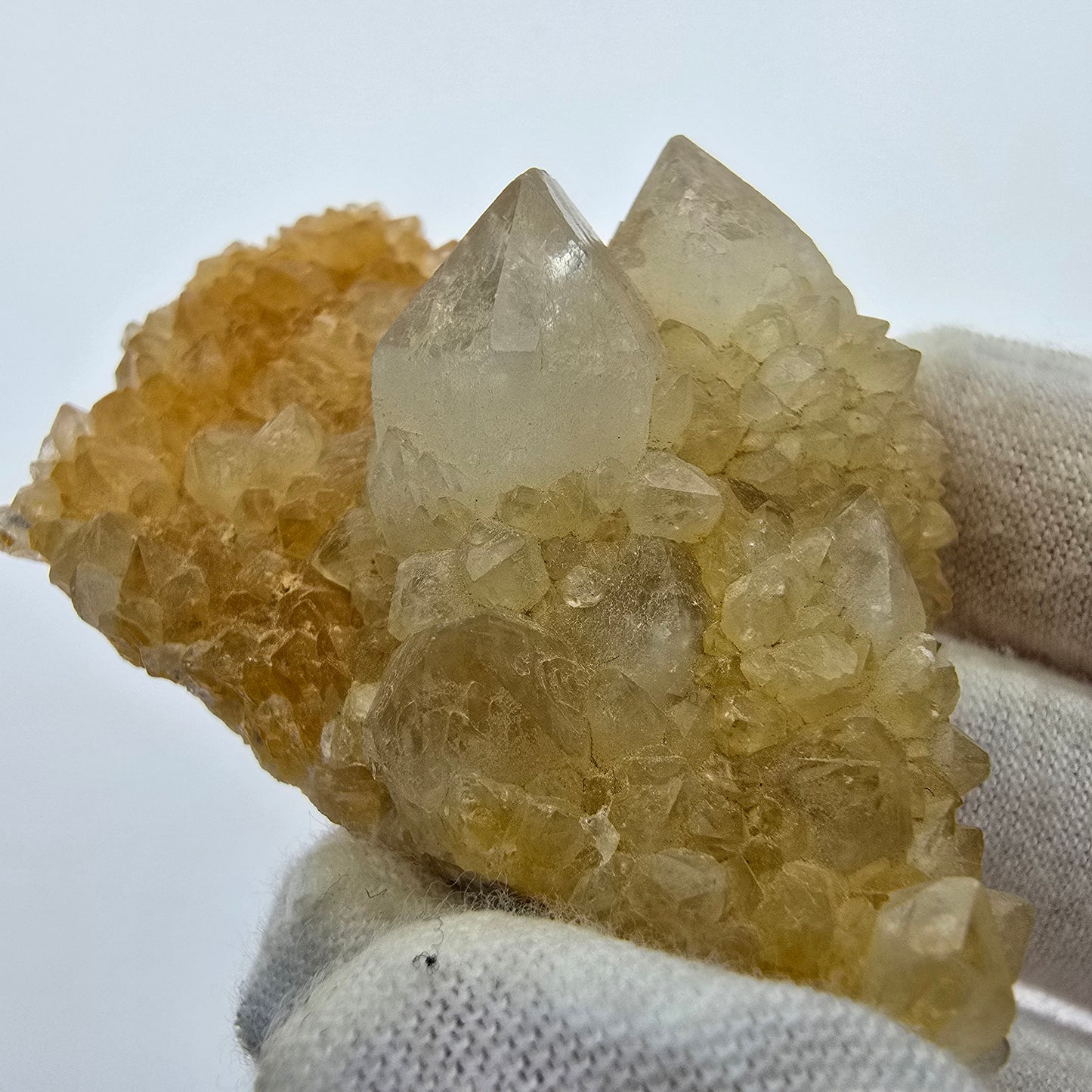 Cactus Quartz, Spirit Quartz XX Grade Boekenhouthoek, South Africa 58*38*21mm Collection