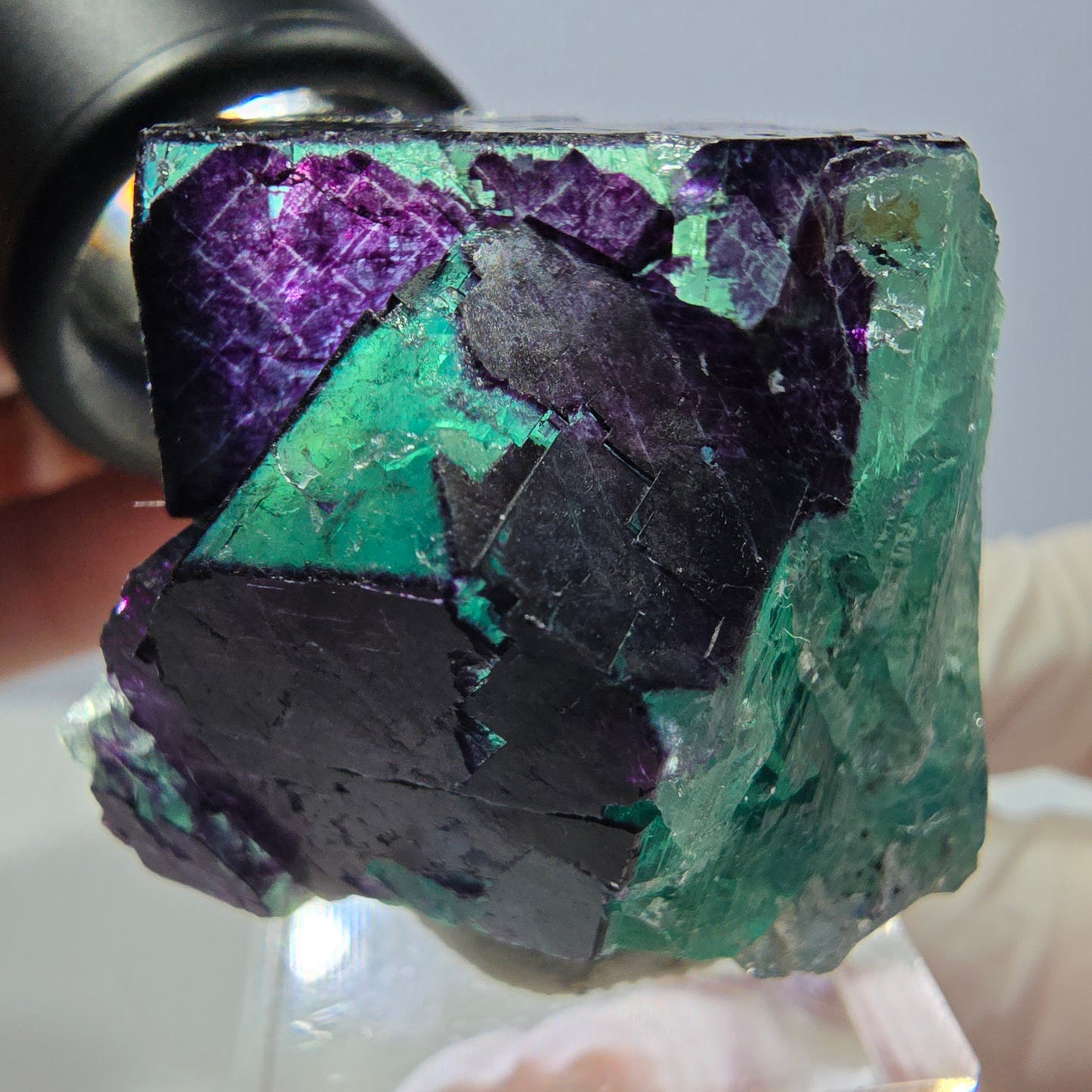 Phantom Fluorit Würfel Stufe grün lila zonal 11:11 Angel Pocket, Namibia 37*33*28mm