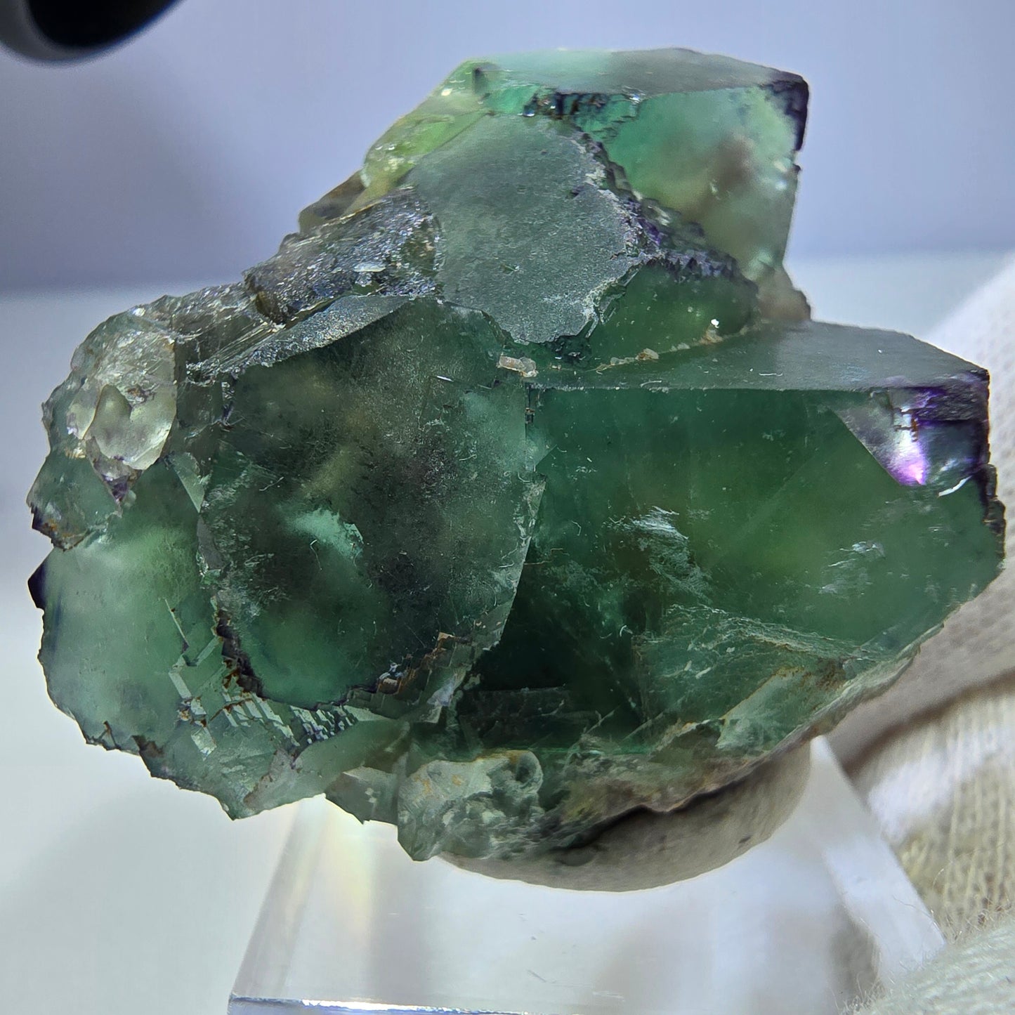 Seltene Phantom Fluorit Würfel Stufe zonal grün lila Okorusu, Namibia 47*43*26mm
