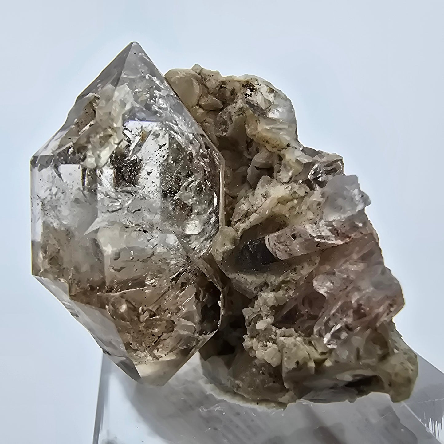 Phantom Rauchquarz DT Zepter auf Matrix Stufe Goboboseb, Namibia 35*24*23mm