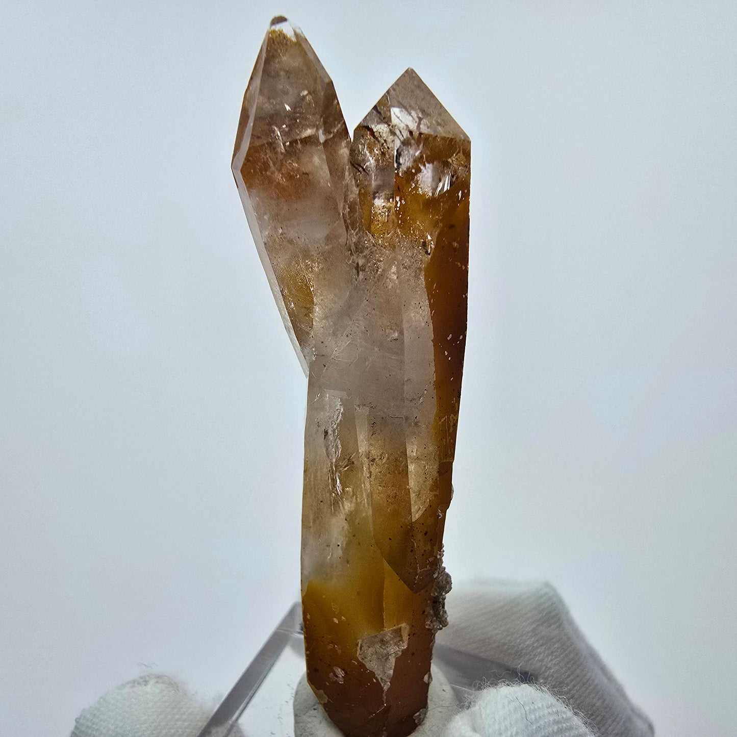 Quartz fumé Harlequin avec formation de fer DT Goboboseb Namibie 62*18*13mm Collection