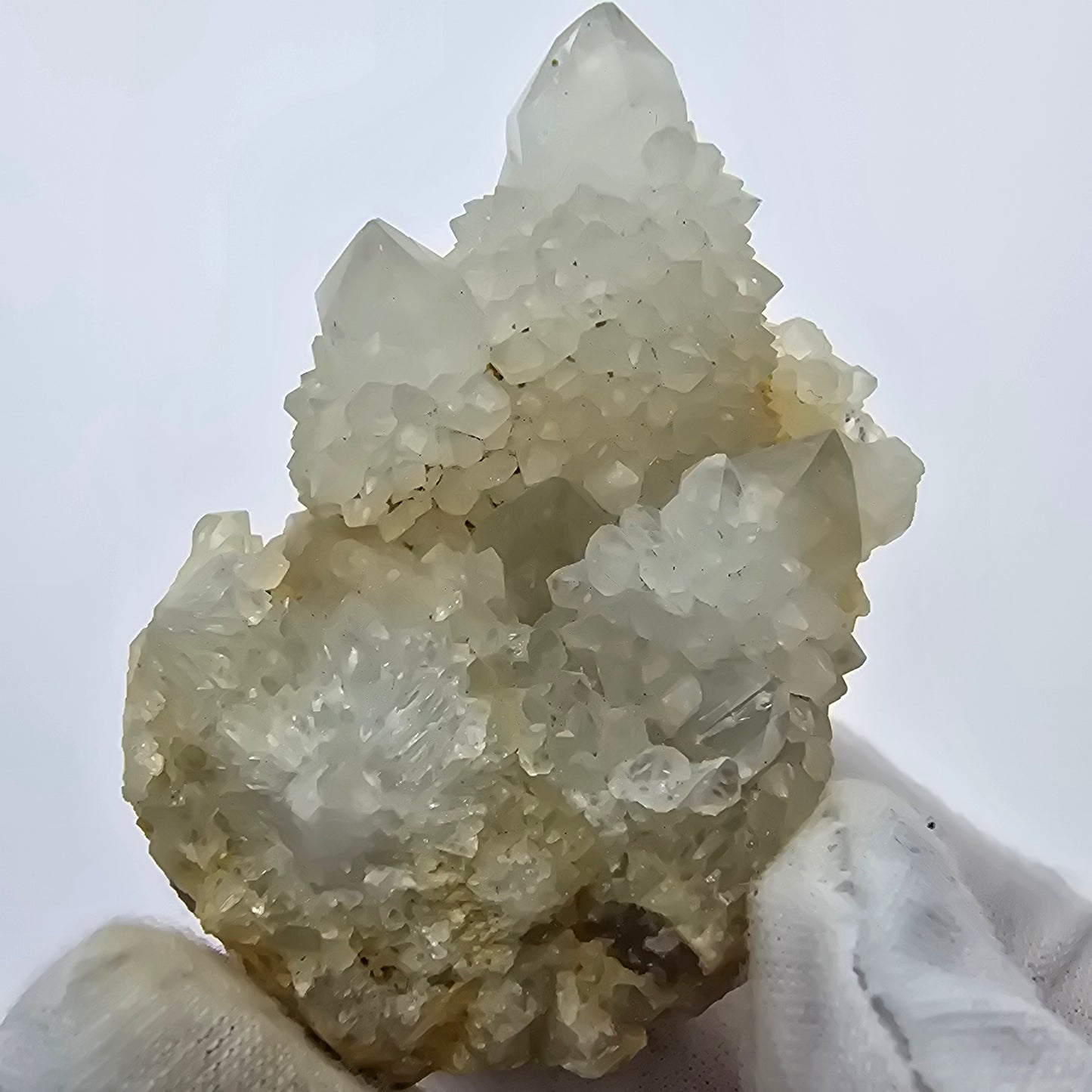 Kaktusquarz, Spirit Quarz XX Stufe Boekenhouthoek, Südafrika 51*50*39mm Sammlung