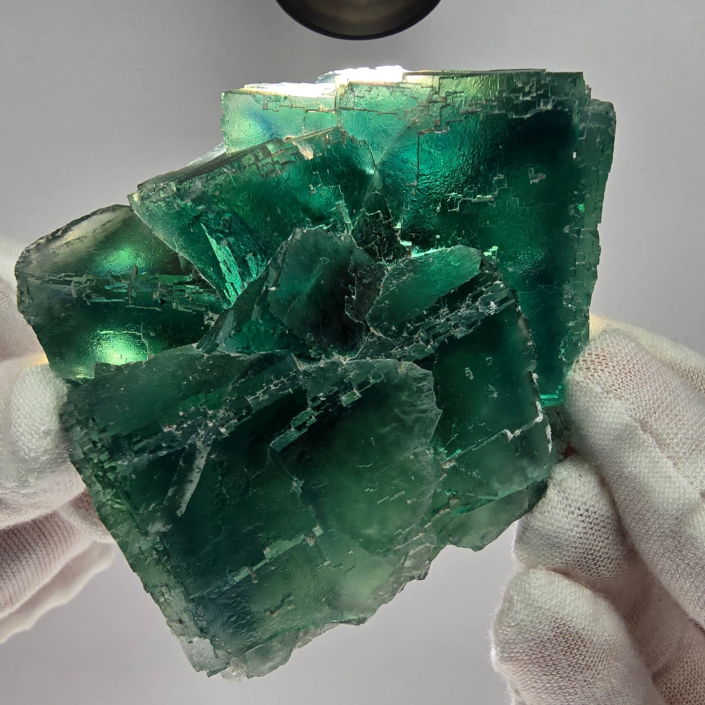 Große Phantom Fluorit Würfel Stufe grün parkettiert Okorusu, Namibia 81*68*35mm