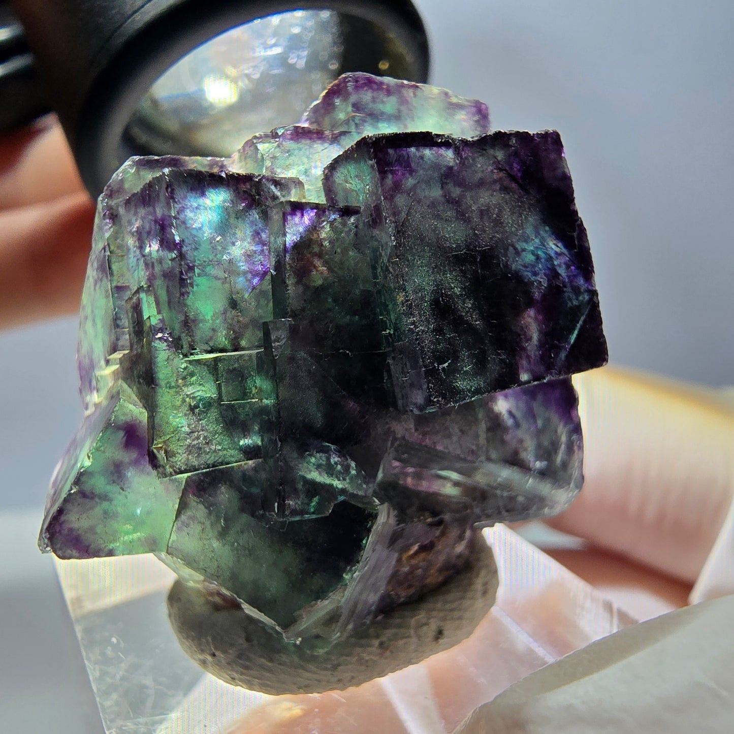 Phantom Fluorit Würfel Stufe, parkettiert grün lila Okorusu, Namibia 29*28*16mm