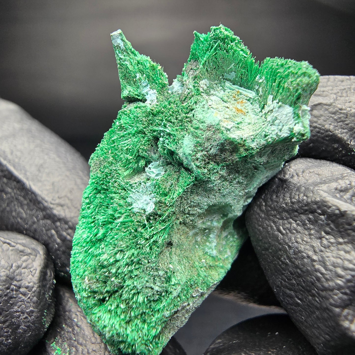 Seltene Malachit, Chrysokoll Stufe Kaokoveld, Namibia 32*24*17mm Sammlung