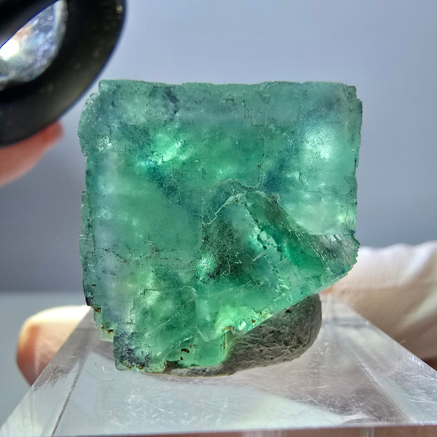 Spécimen de cube de fluorite fantôme, parquet vert Okorusu, Namibie 22 x 21 x 16 mm