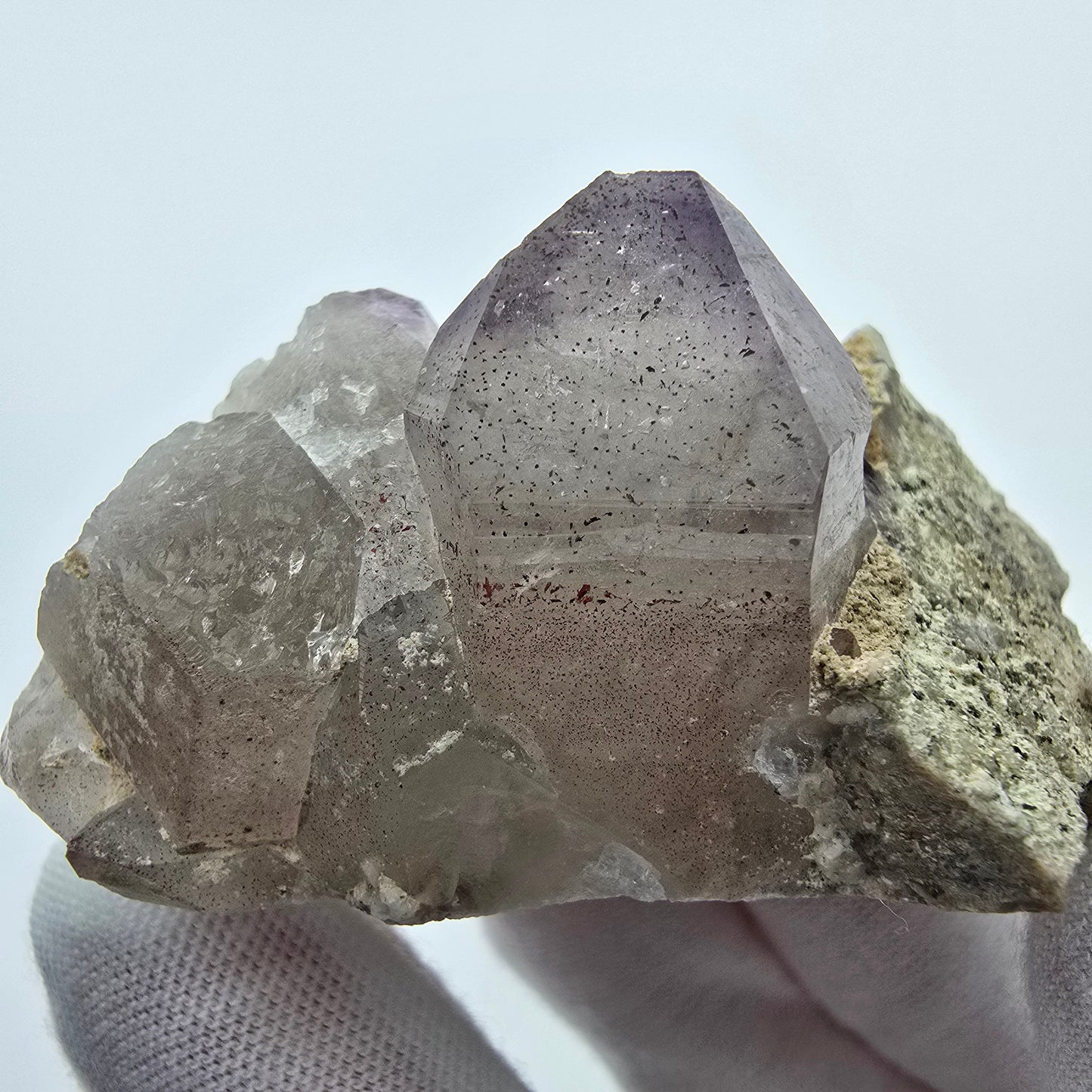 Phantom Amethyst Zepter auf Matrix Goboboseb, Namibia 62*34*30mm Sammlung