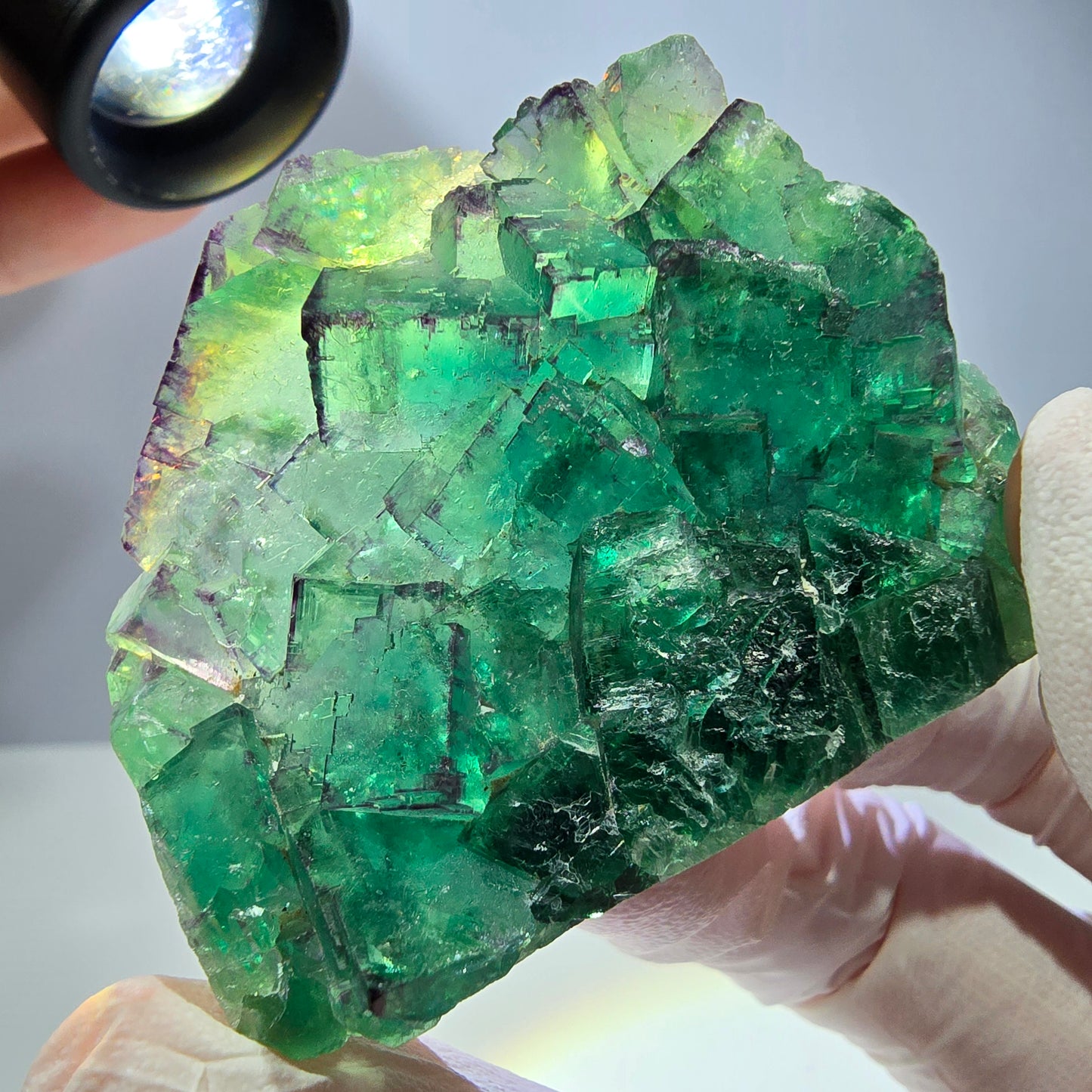 Spécimen de cube de fluorite fantôme, parqueté vert violet Okorusu, Namibie 55*41*16 mm