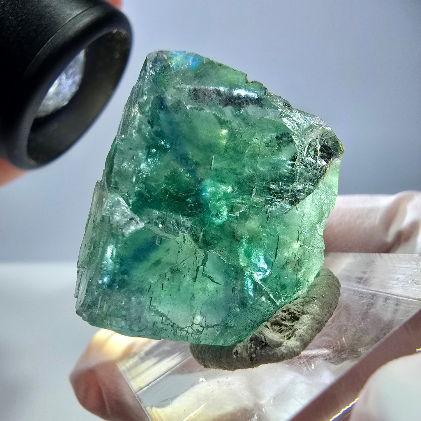 Cube de fluorite fantôme transparente parquetée, vert Okorusu, Namibie 23 x 22 x 15 mm