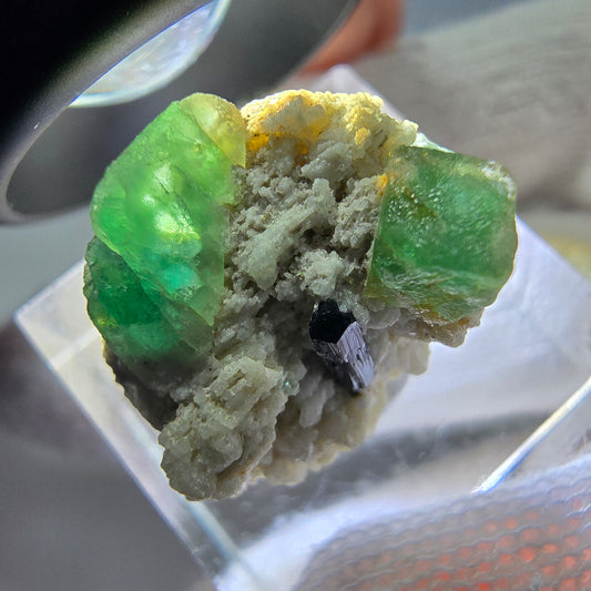 Spécimen de tourmaline Schorl et d'orthose cubique de fluorite fantôme, Erongo, Namibie, 20 x 17 x 16 mm