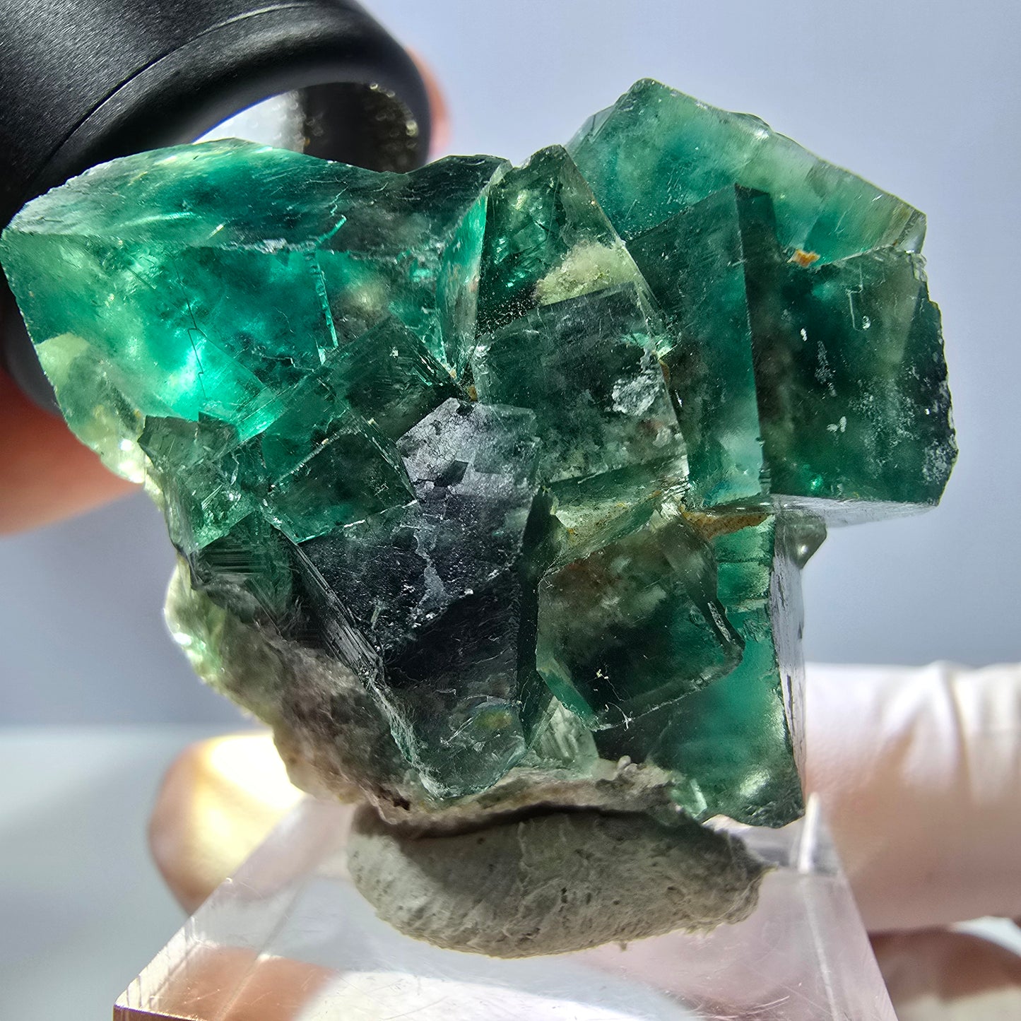 Spécimen de cube de fluorite fantôme, parquet vert Okorusu, Namibie 34 x 37 x 22 mm