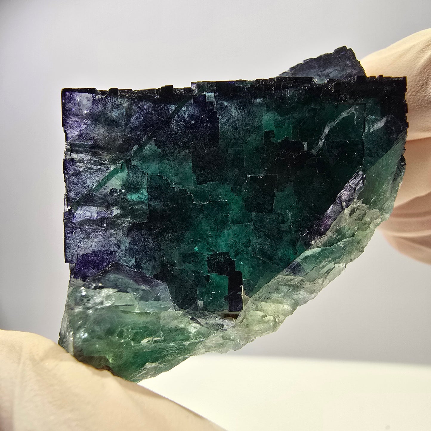 Spécimen de cube de fluorite fantôme parqueté vert violet Okorusu, Namibie 71*36*21mm