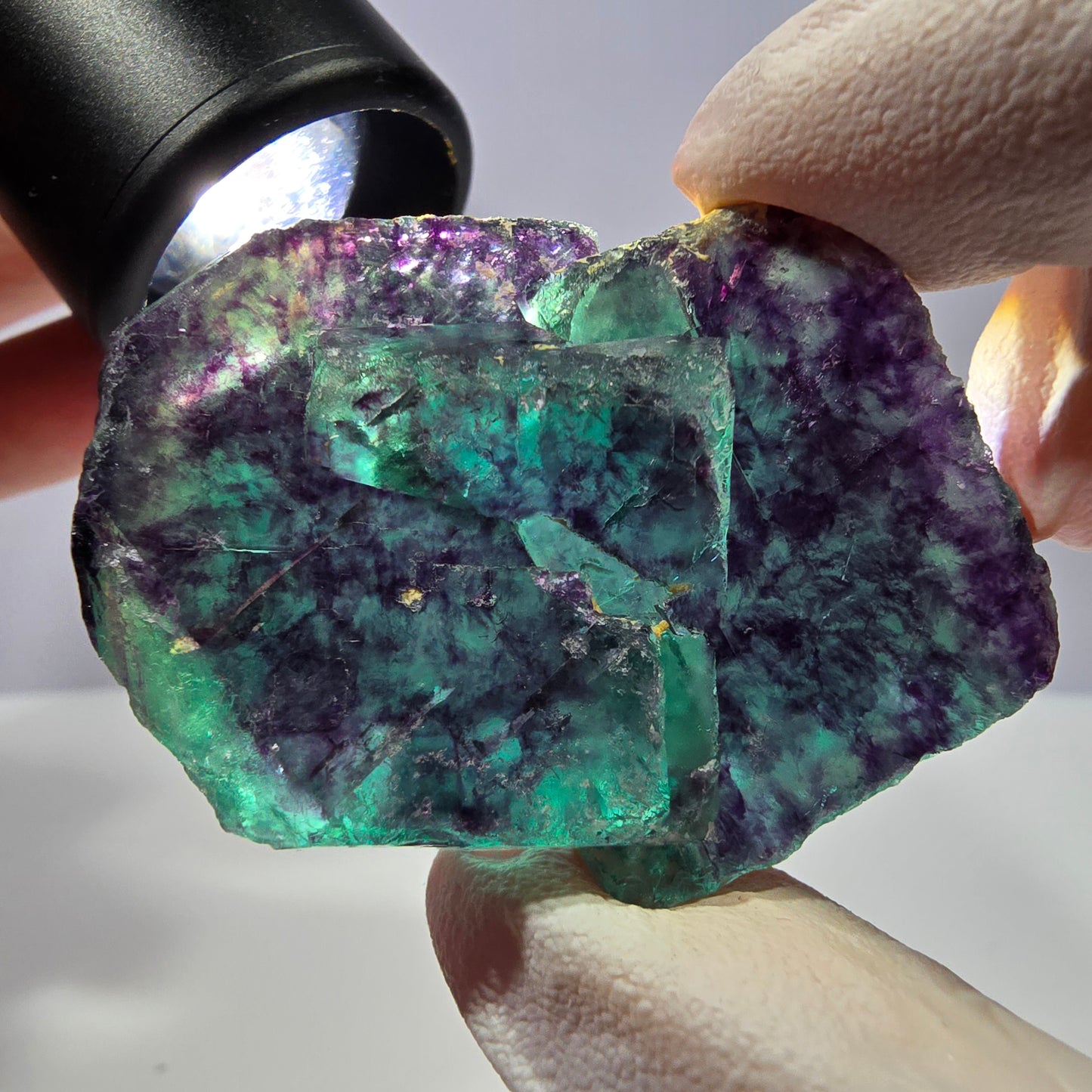 Spécimen de cube de fluorite fantôme, parqueté vert violet Okorusu, Namibie 51*35*16 mm