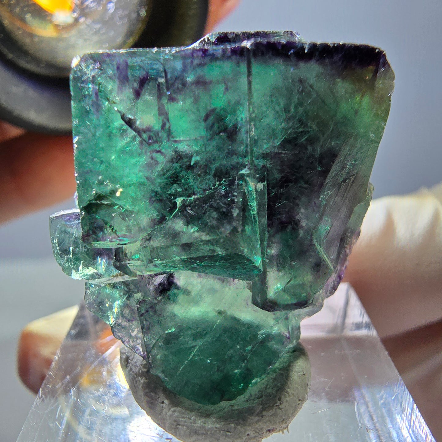Spécimen de cube de fluorite fantôme, parqueté vert violet Okorusu, Namibie 30*26*17 mm