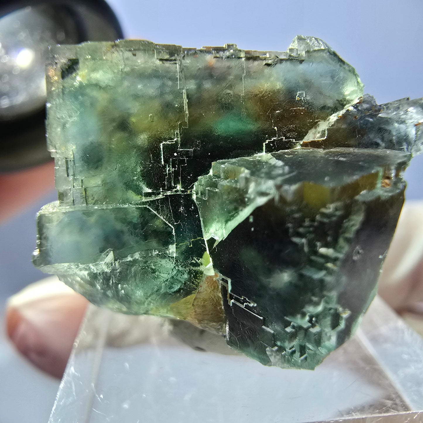 Seltene Phantom Fluorit Würfel Stufe, grün Okorusu, Namibia 27*23*20mm