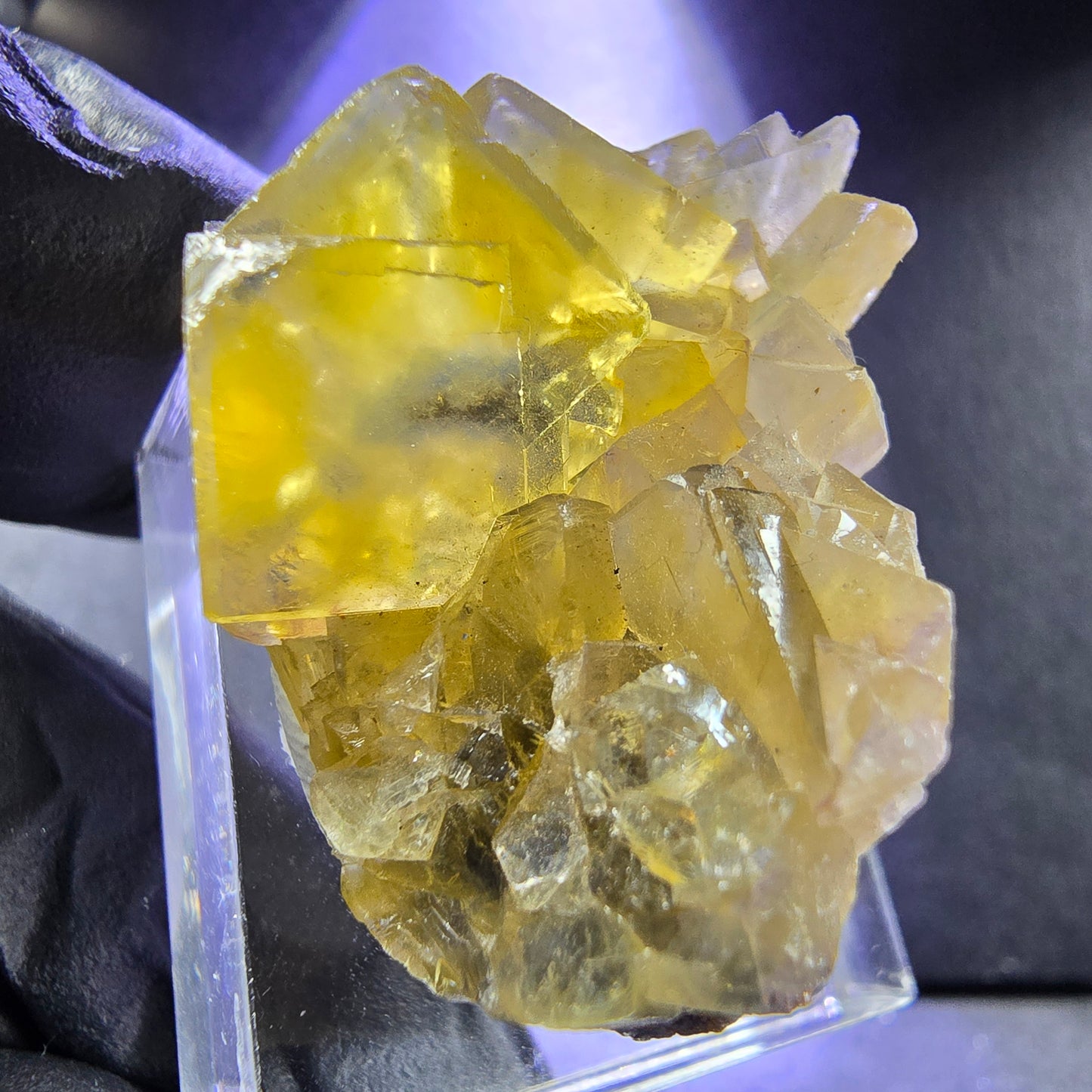 Seltene Honey Pocket Phantom Fluorit XX Würfel Stufe 31*20*19mm Okorusu, Namibia