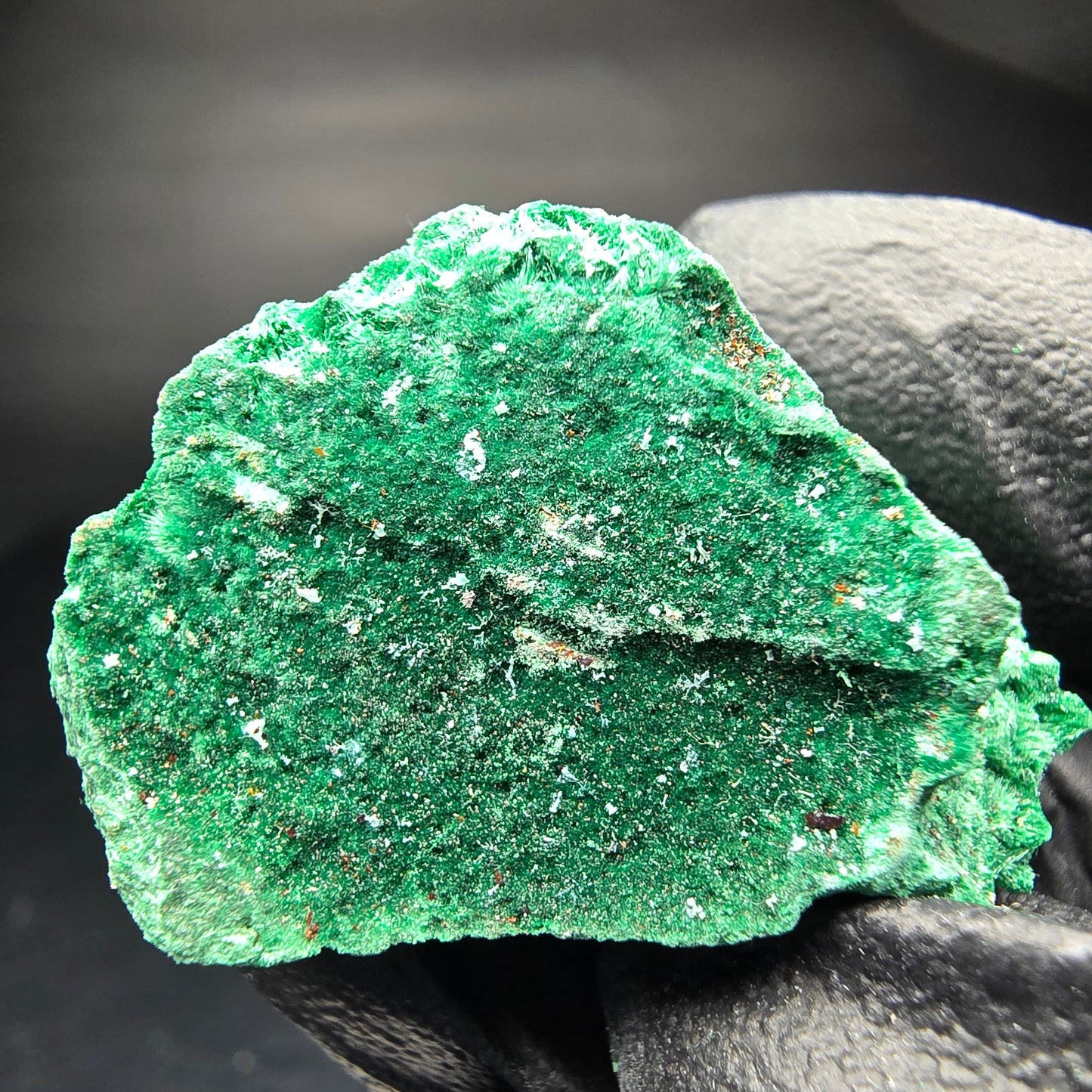 Seltene Malachit Stufe, grün Kaokoveld, Namibia 33*21*16mm Mineraliensammlung