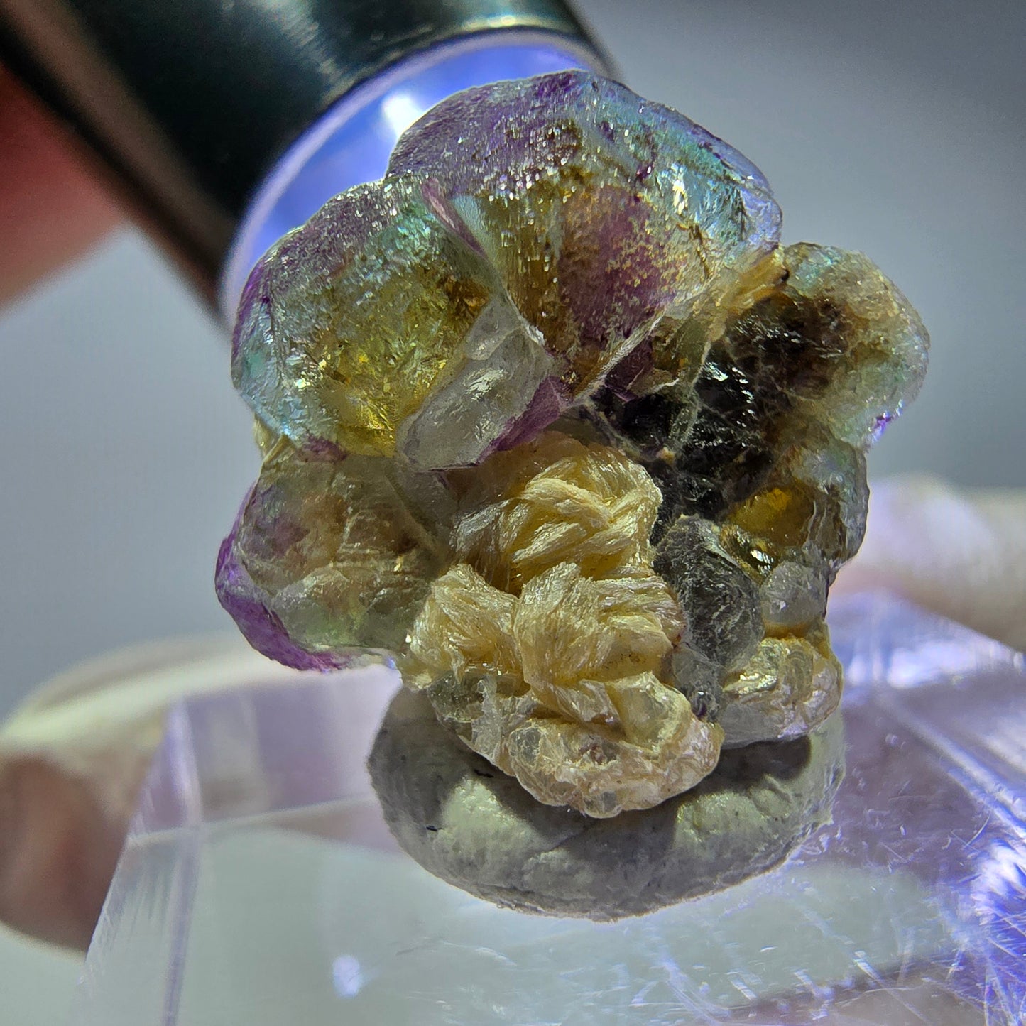 Cubes de fluorite fantôme colorés, spécimen de muscovite, Erongo, Namibie, 18 x 17 x 11 mm