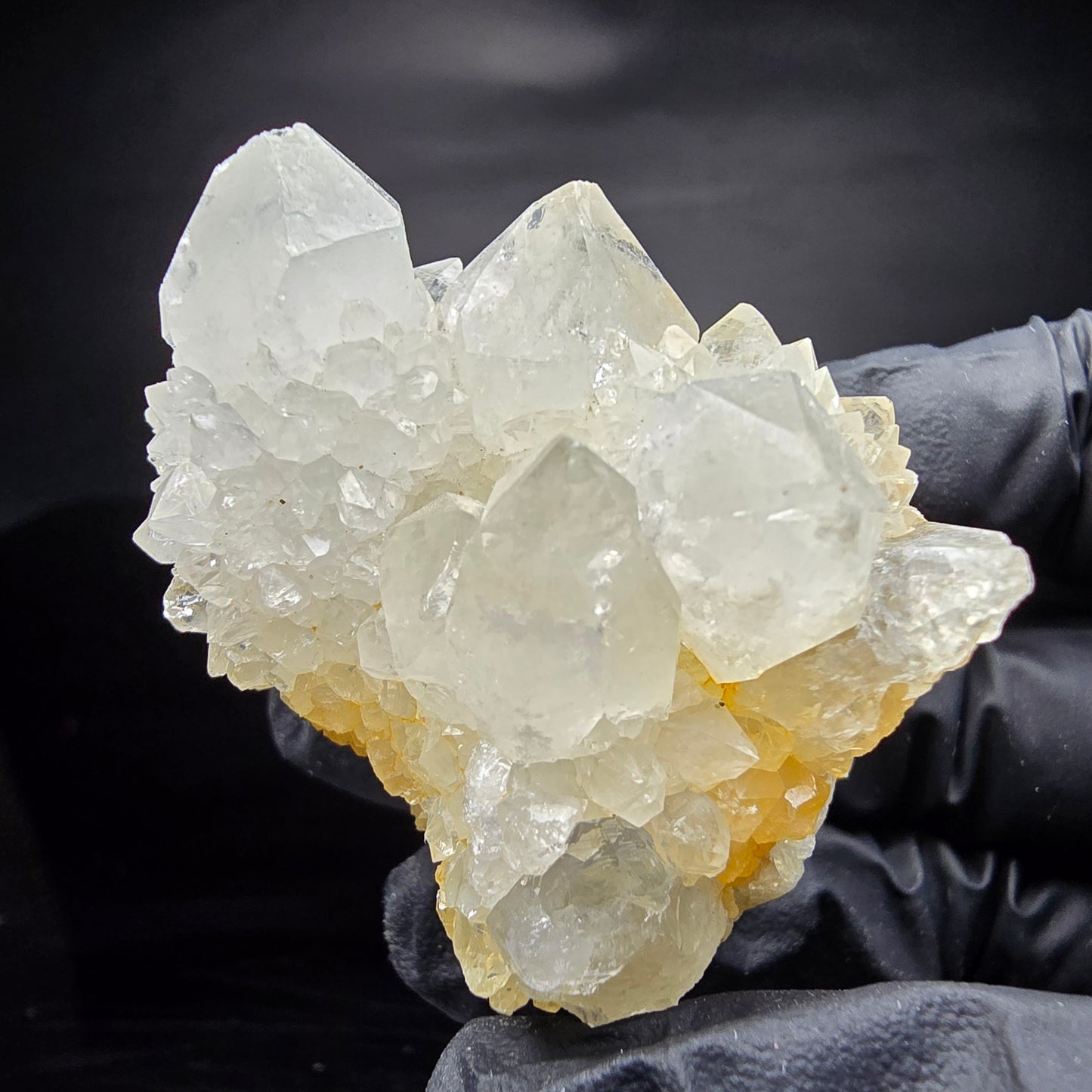 Cactus Quartz, Spirit Quartz XX Grade Boekenhouthoek, South Africa 50*43*38mm Collection