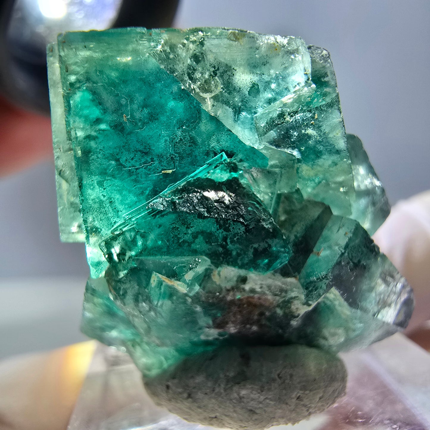Spécimen de cube de fluorite fantôme, parquet vert Okorusu, Namibie 27 x 25 x 17 mm
