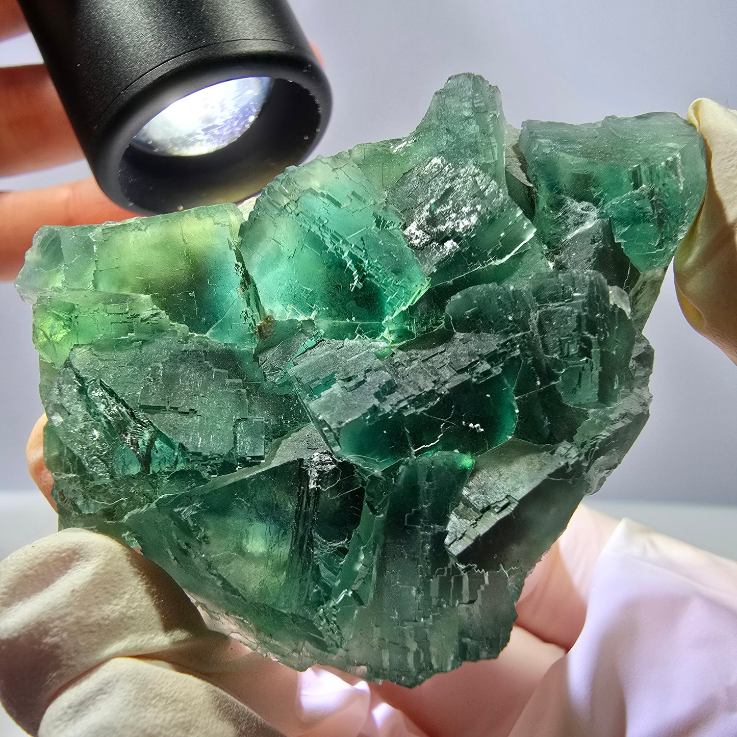 Rare spécimen de cube de fluorite fantôme, parqueté vert Okorusu, Namibie, 61 x 45 x 28 mm