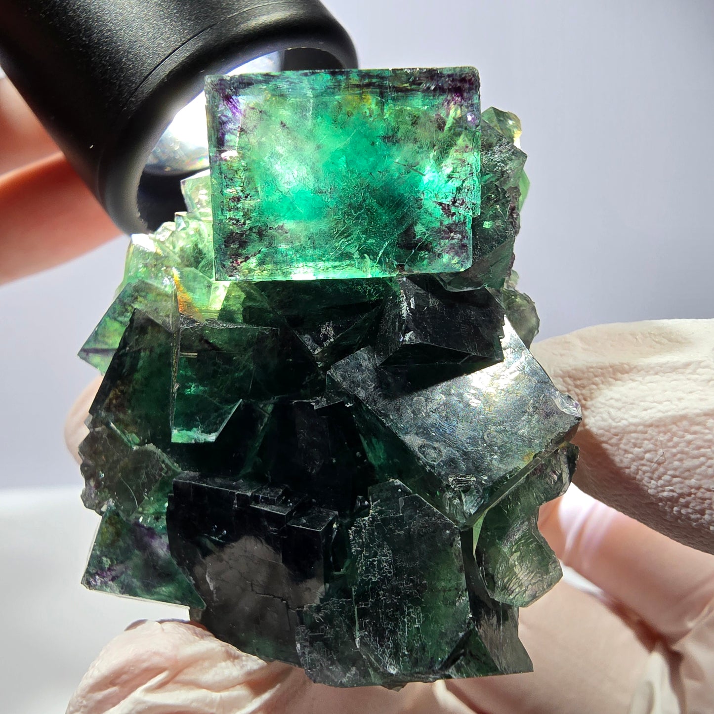 Spécimen de cube de fluorite fantôme, parqueté vert violet Okorusu, Namibie 52*46*32mm