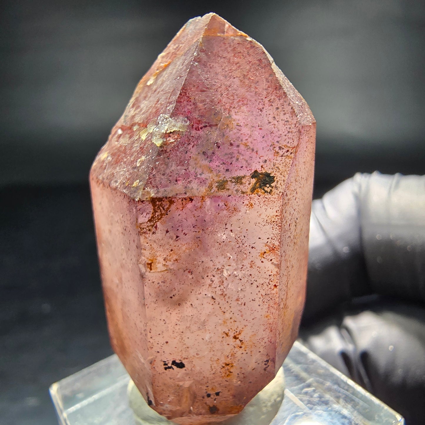 Beautiful Phantom Scepter Amethyst Point purple Brandberg Namibia 40*22*16mm Collection