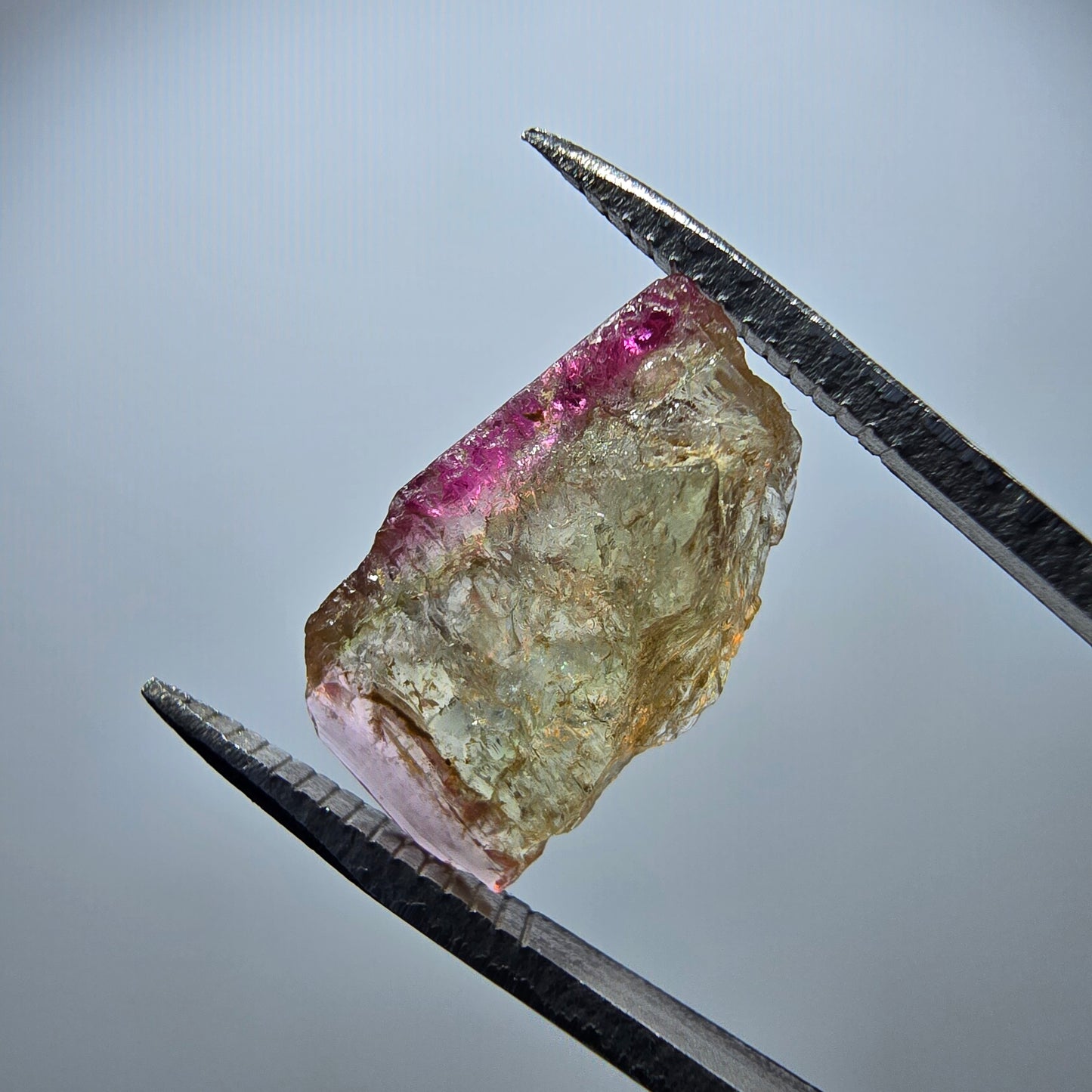 Seltener Elbait Turmalin Kristall, grün rosa Minas Gerais, Brasilien 16*9*4mm
