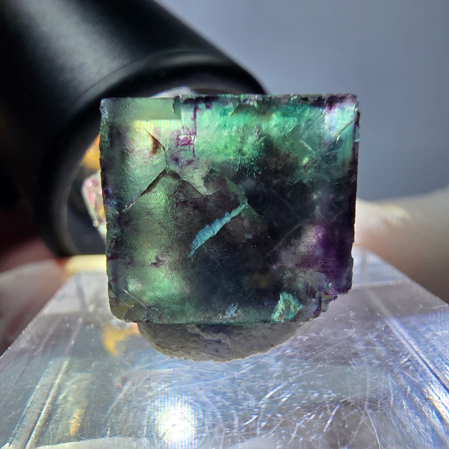 Spécimen de cube de fluorite fantôme, parqueté vert violet Okorusu, Namibie 19*18*14 mm