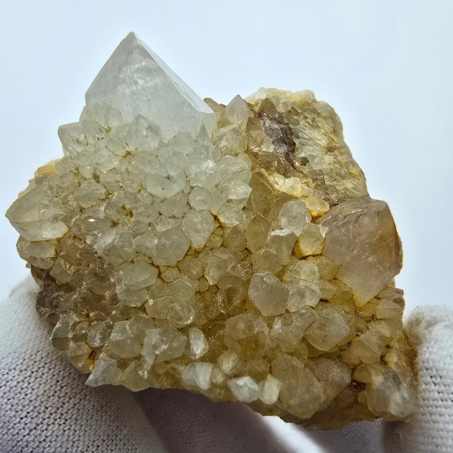 Kaktusquarz, Spirit Quarz XX Stufe Boekenhouthoek, Südafrika 55*43*27mm Sammlung