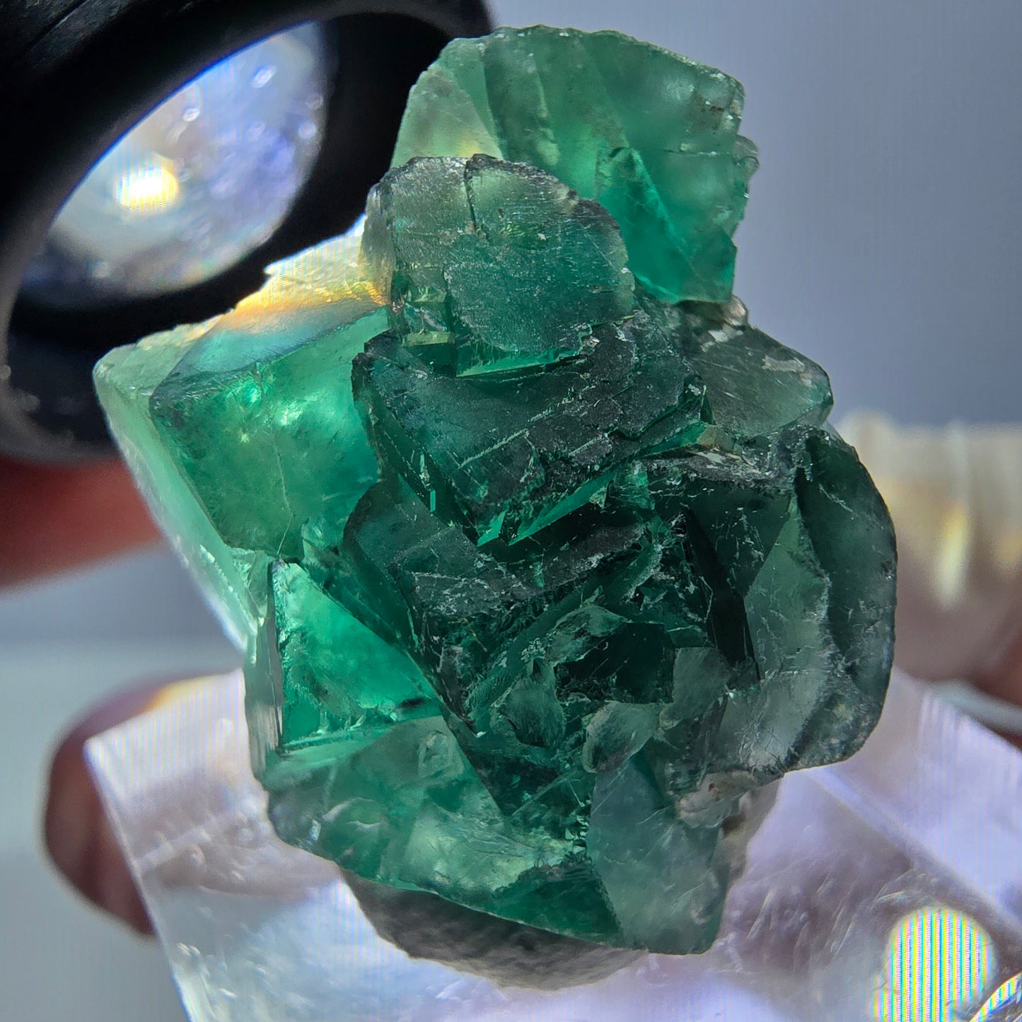 Phantom Fluorit Würfel Stufe, grün parkettiert Okorusu, Namibia 28*24*18mm
