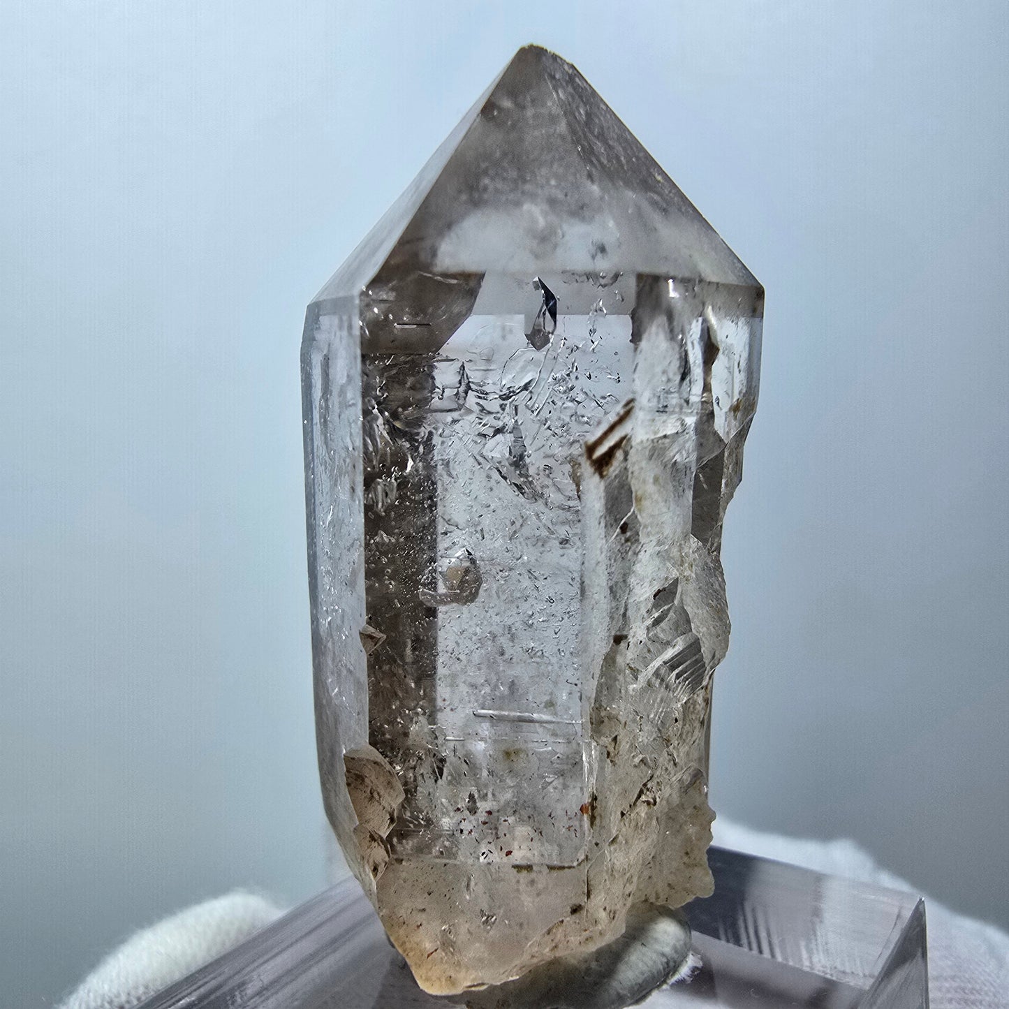 Enhydro Phantom Rauchquarz Zepter, 1x Blase Goboboseb, Namibia 44*21*19mm