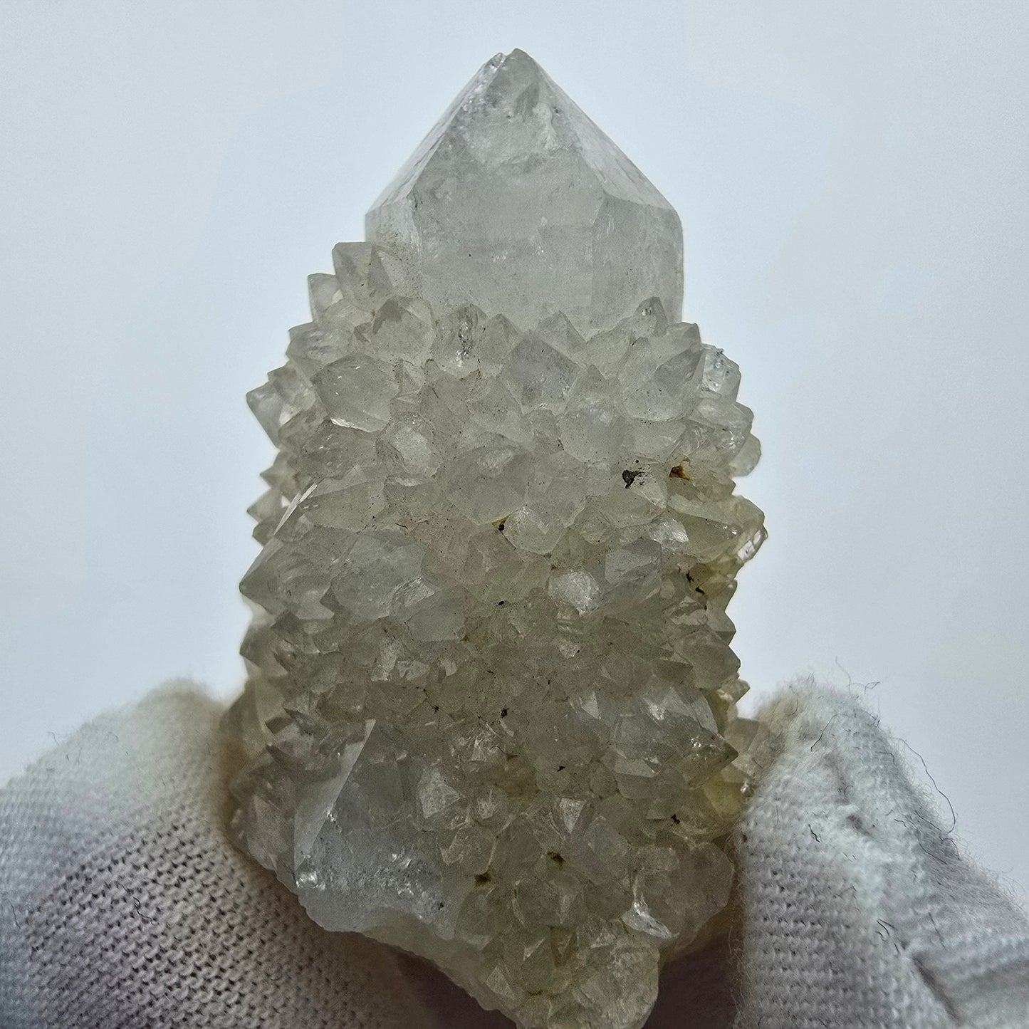 Kaktusquarz, Spirit Quarz XX Stufe Boekenhouthoek, Südafrika 45*32*24mm Sammlung