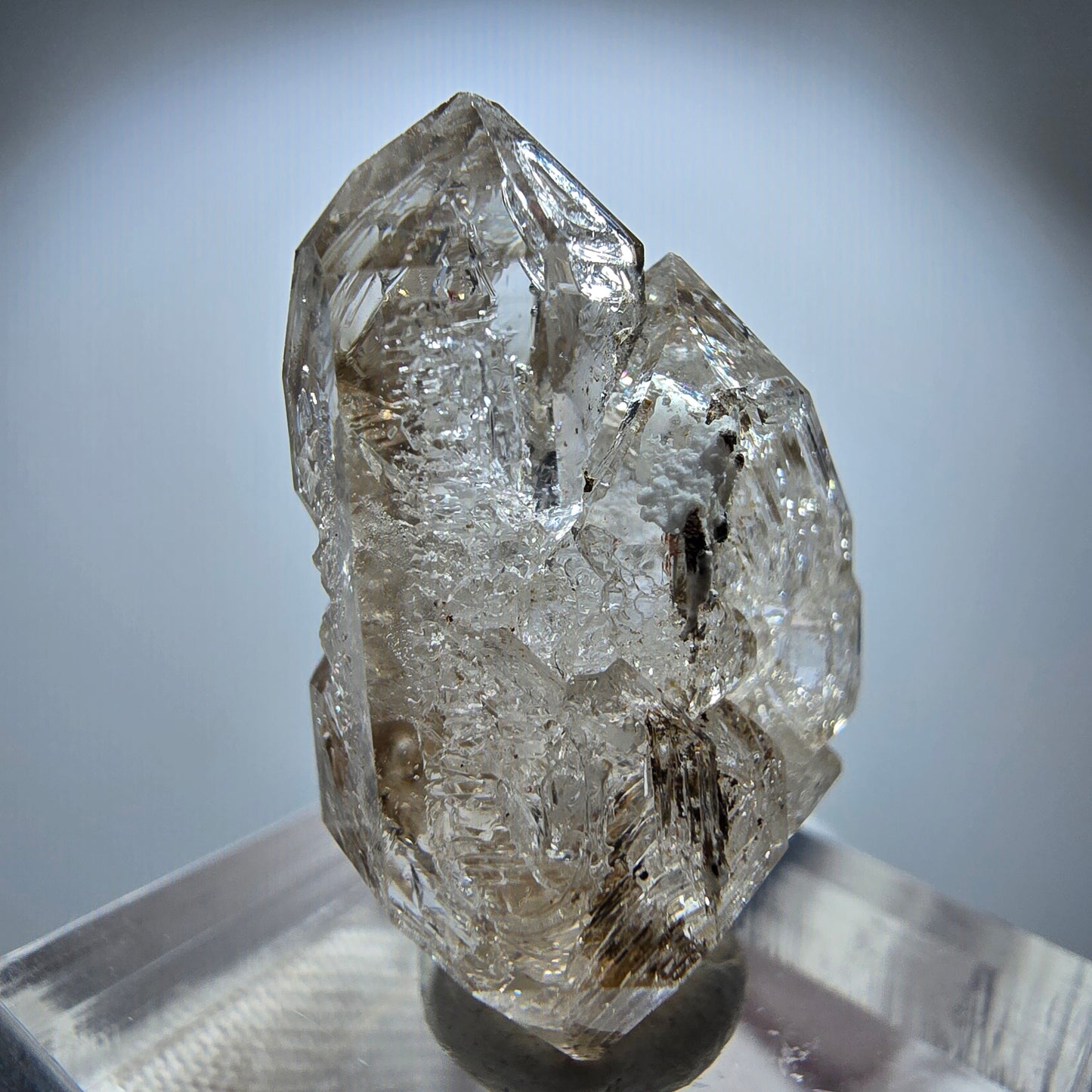 Enhydro Rauchquarz Skelett DT Zepter, 2x Blase Goboboseb, Namibia 29*18*12mm